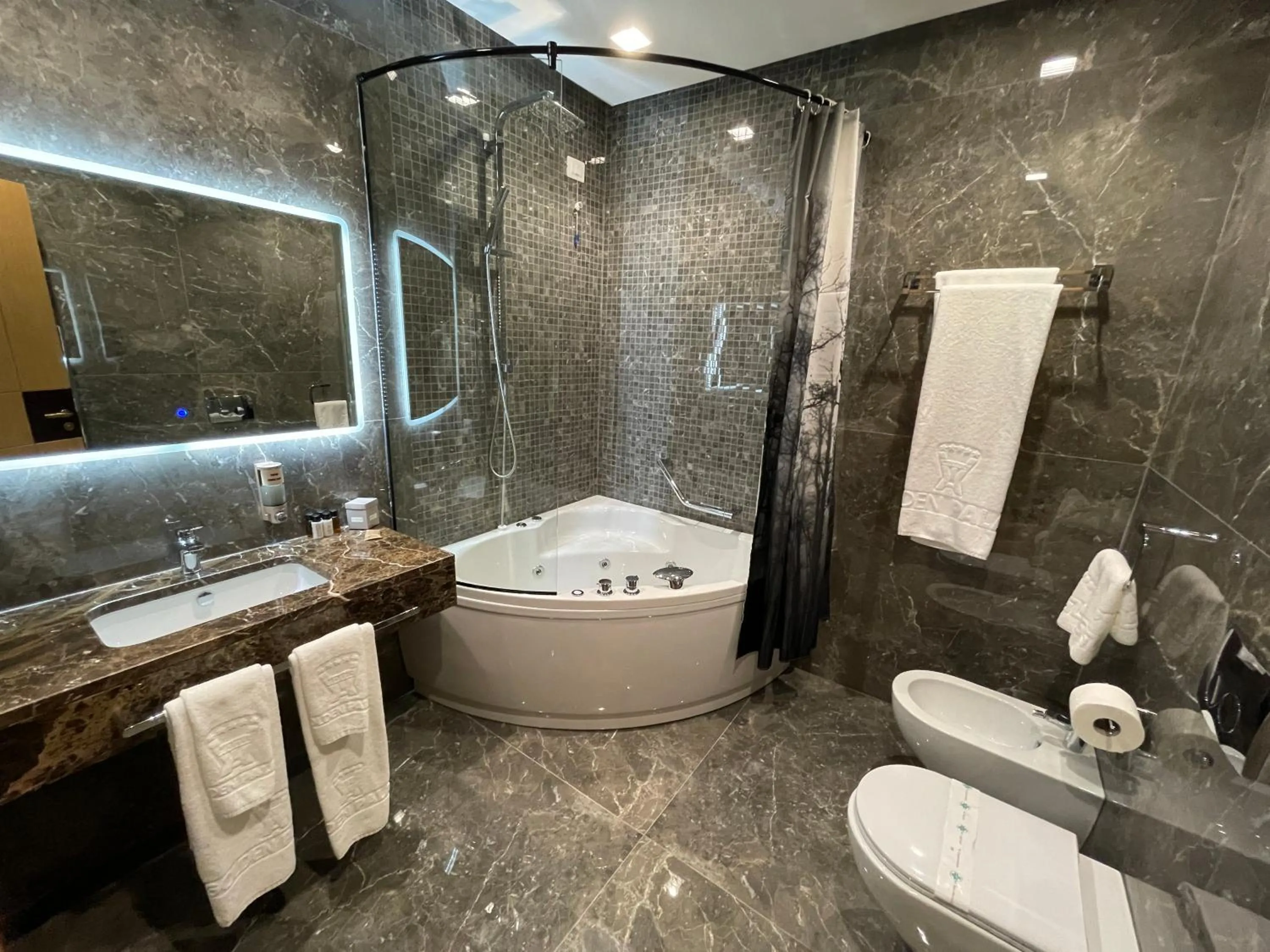 Bathroom in Hotel Golden Palace