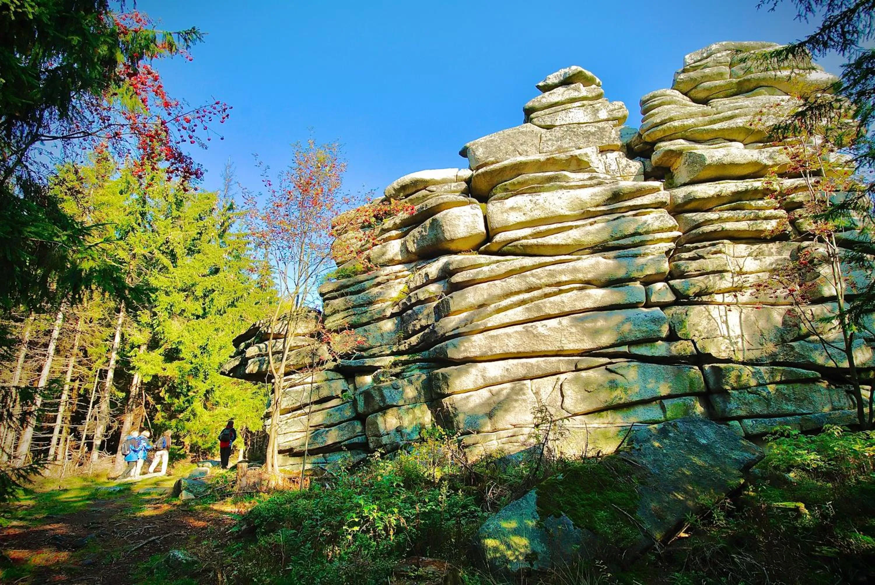 Meister BÄR HOTEL Am Wald