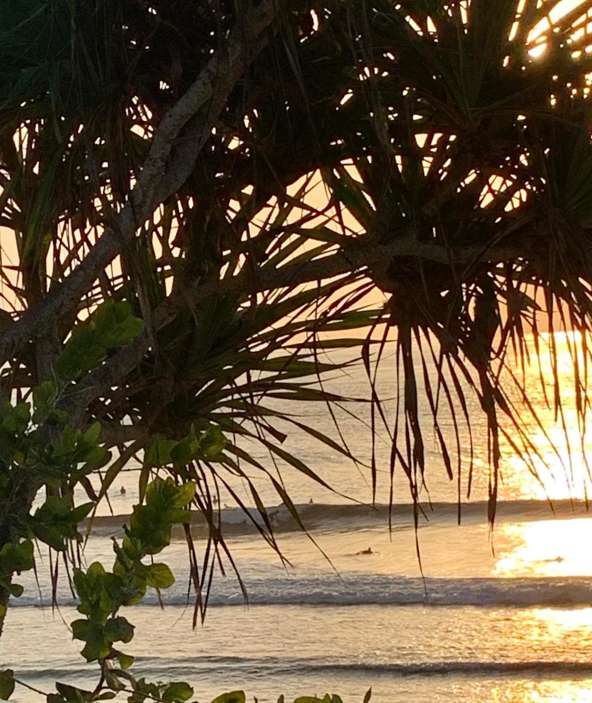 Natural landscape in The Palms Ceningan Hotel