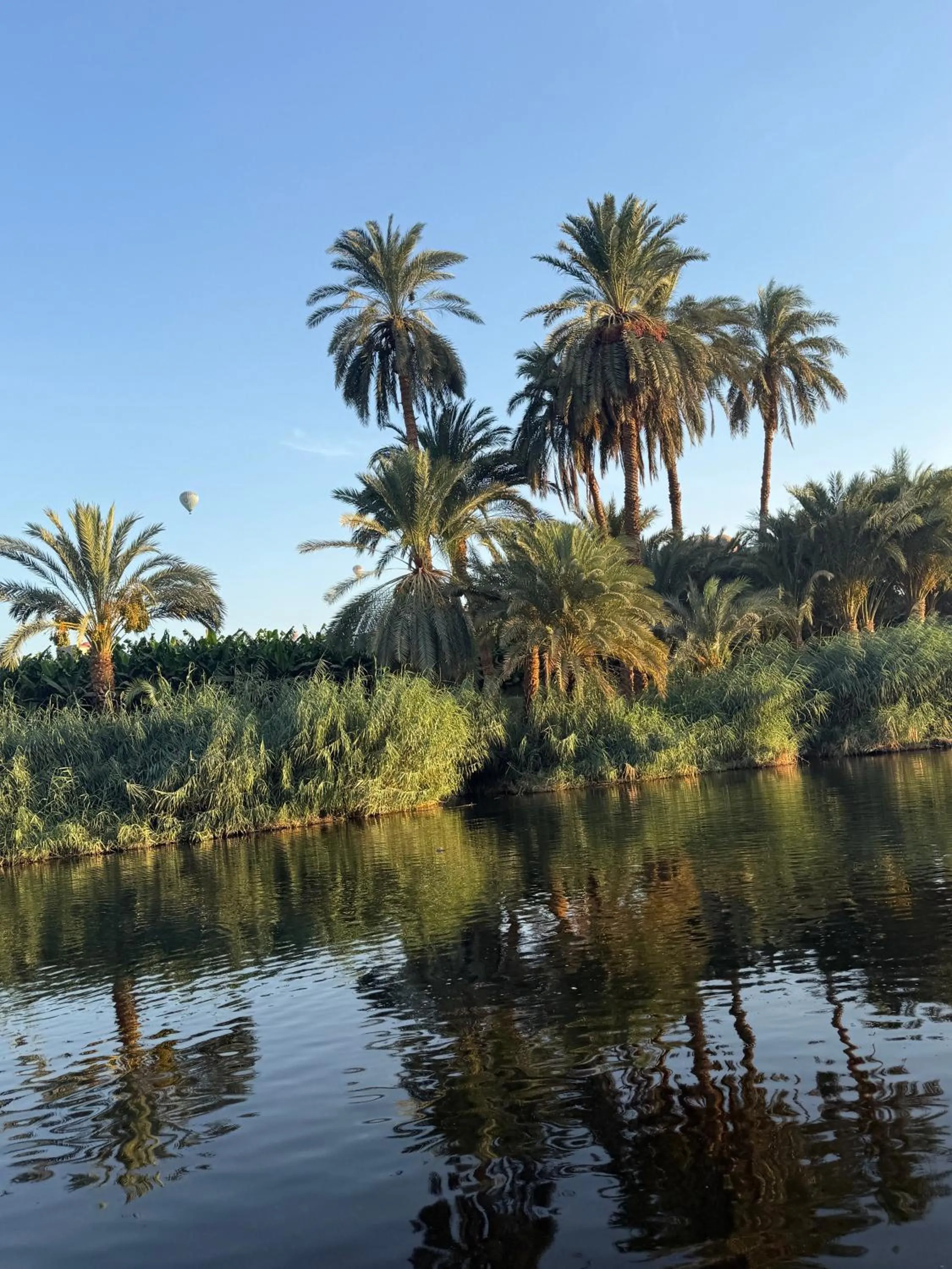 Luxor Old Nile Hotel