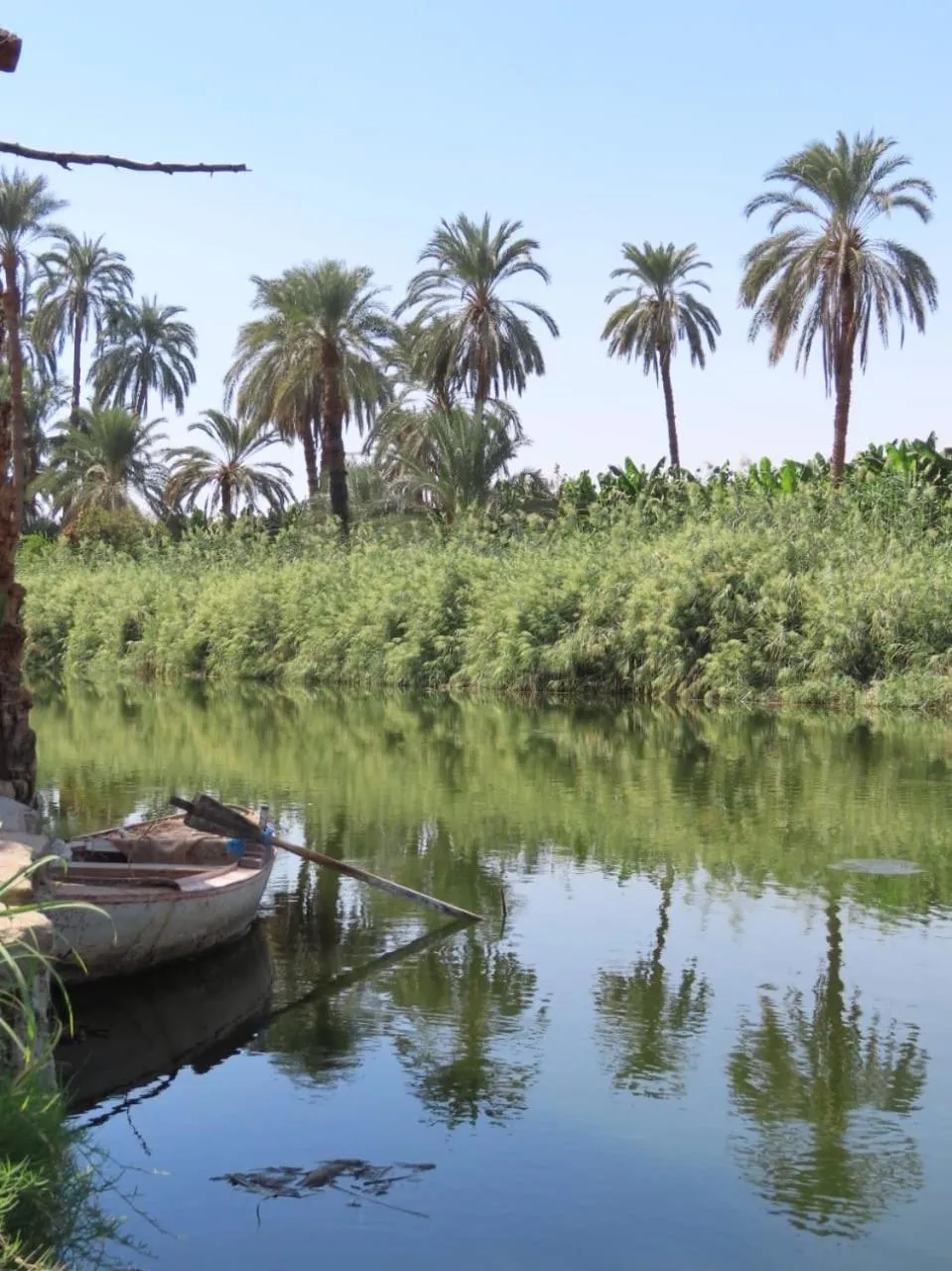 Luxor Old Nile Hotel