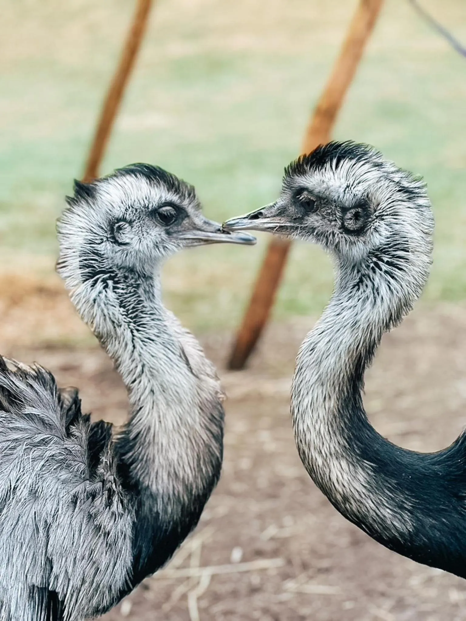 Off site in Hotel Schwarzwald-Resort Rößle