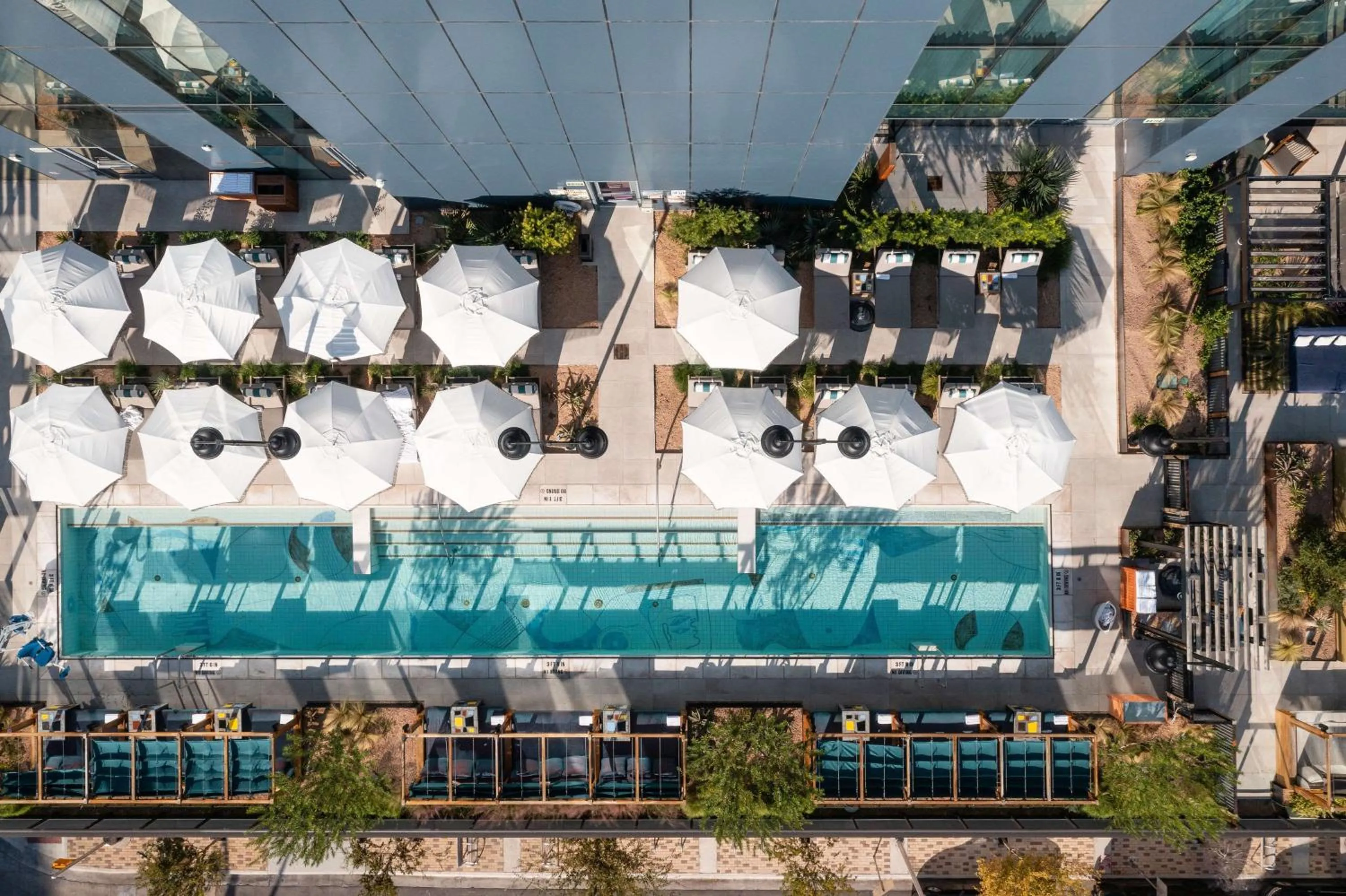 Swimming pool in Thompson Austin, by Hyatt