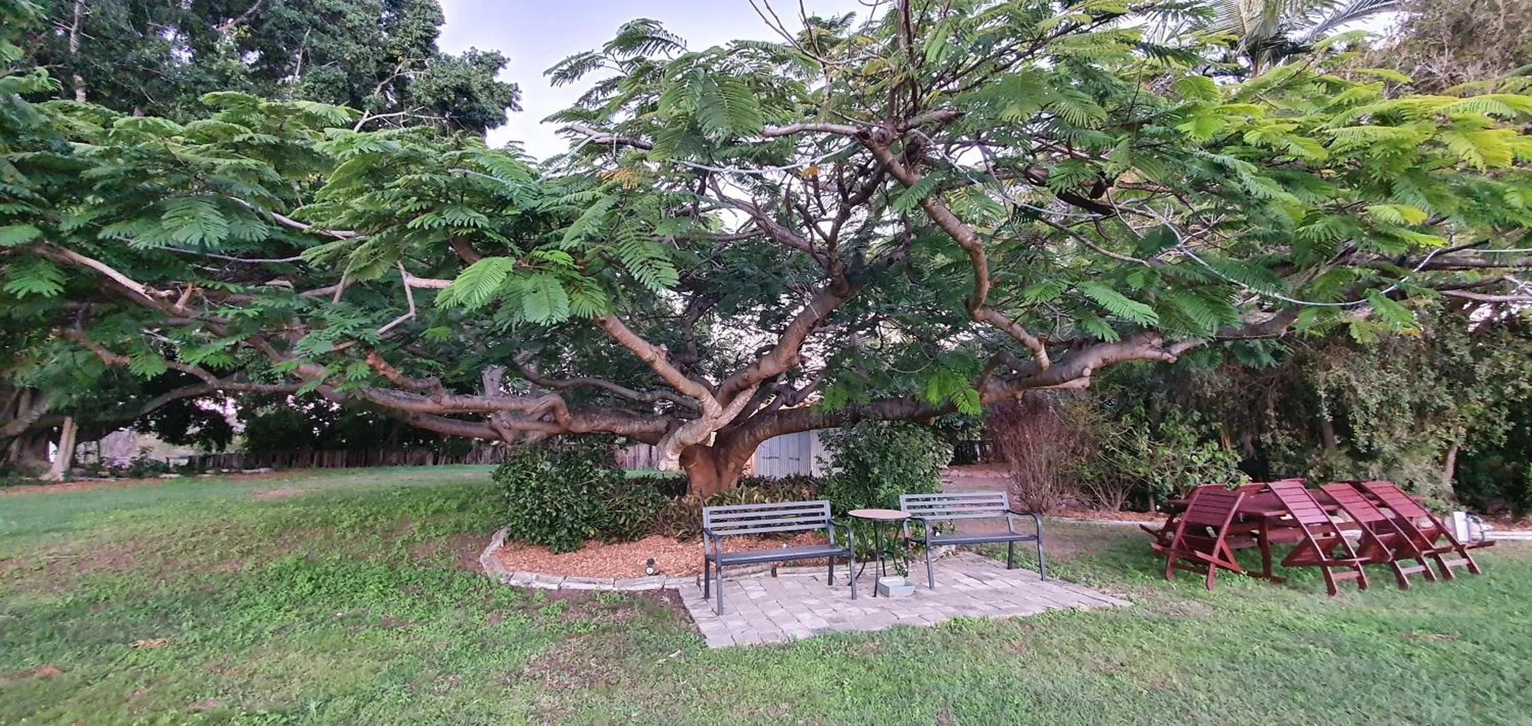 Garden in Benaraby Hilltop MotorInn