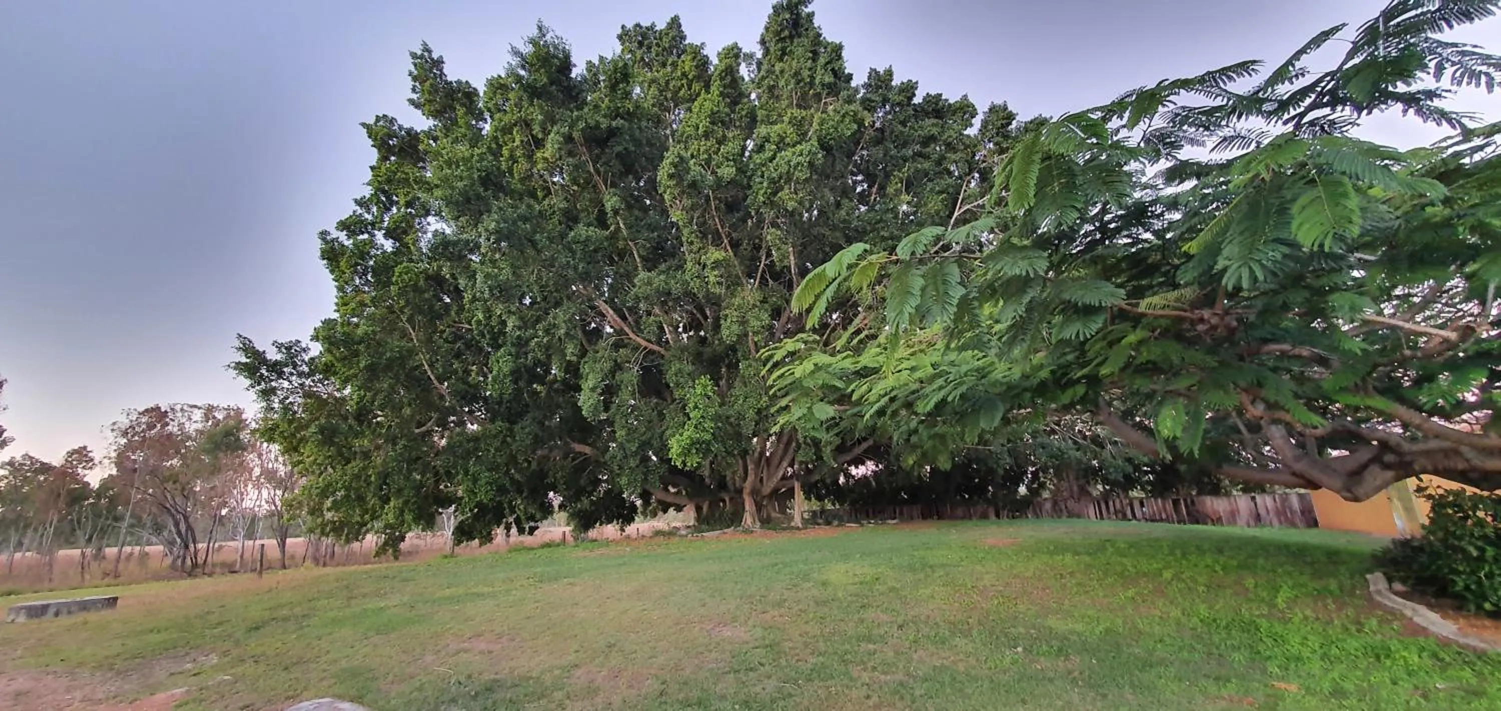 Garden in Benaraby Hilltop MotorInn