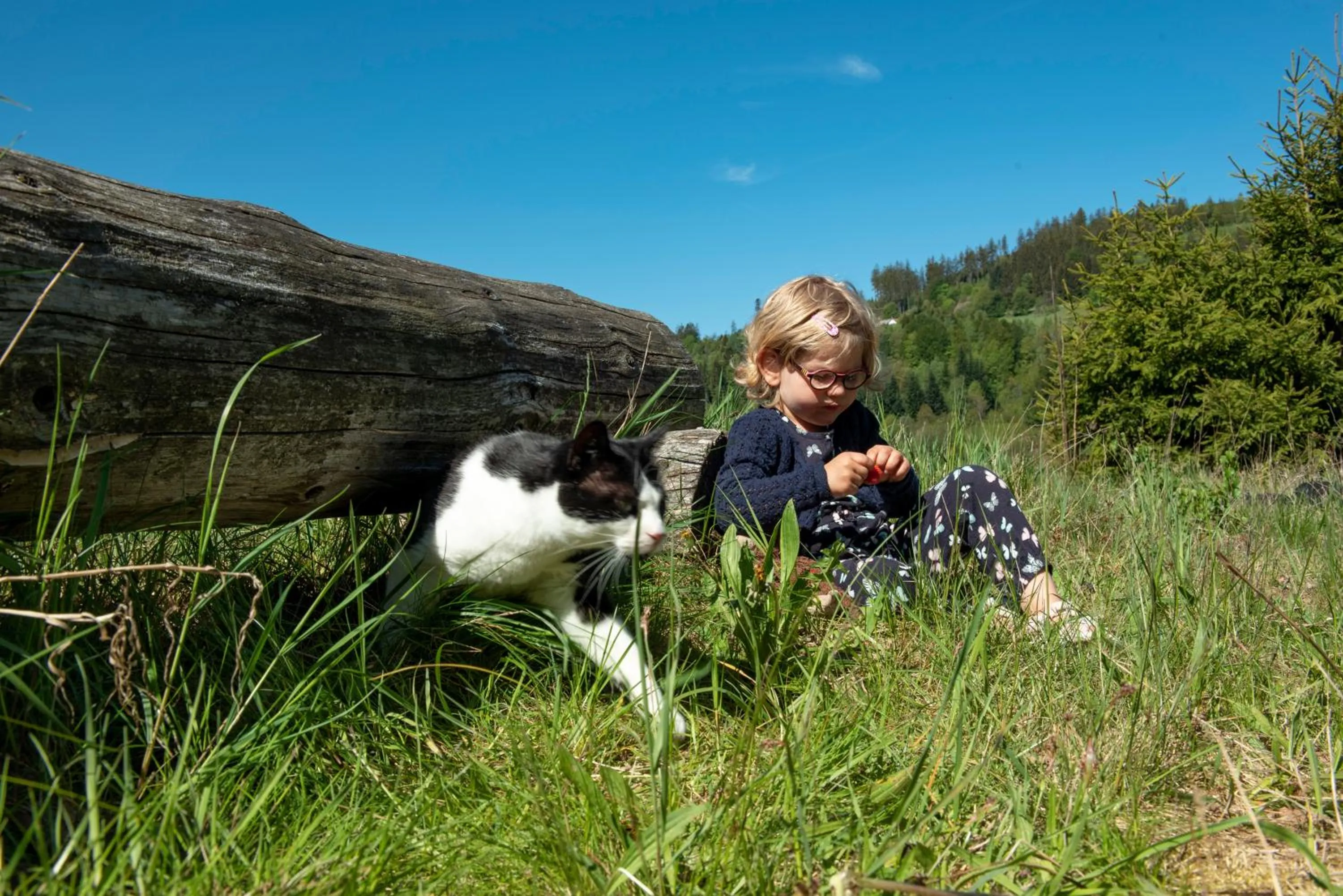 children in Familotel Mein Krug