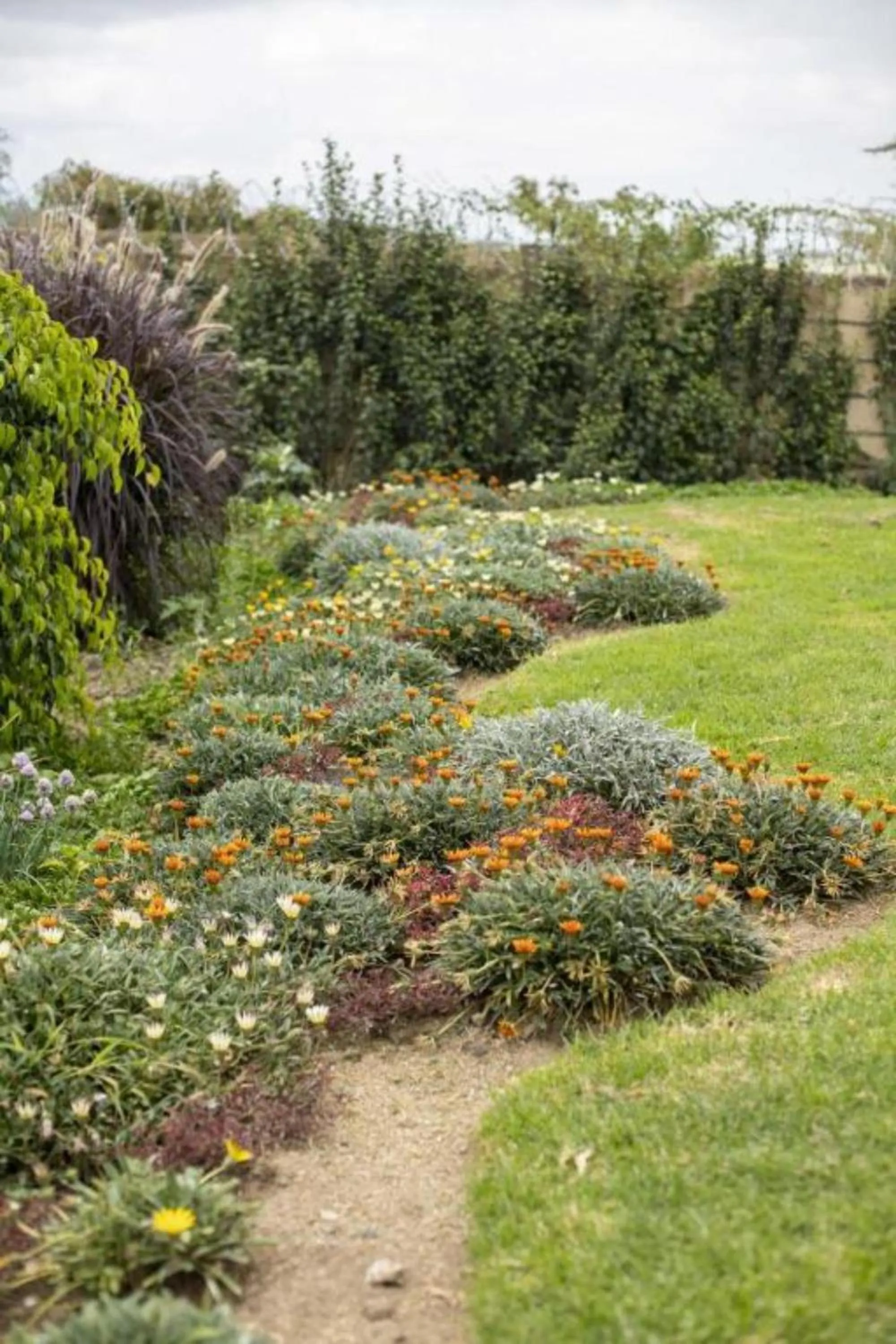 Garden in Eseriani The Resort