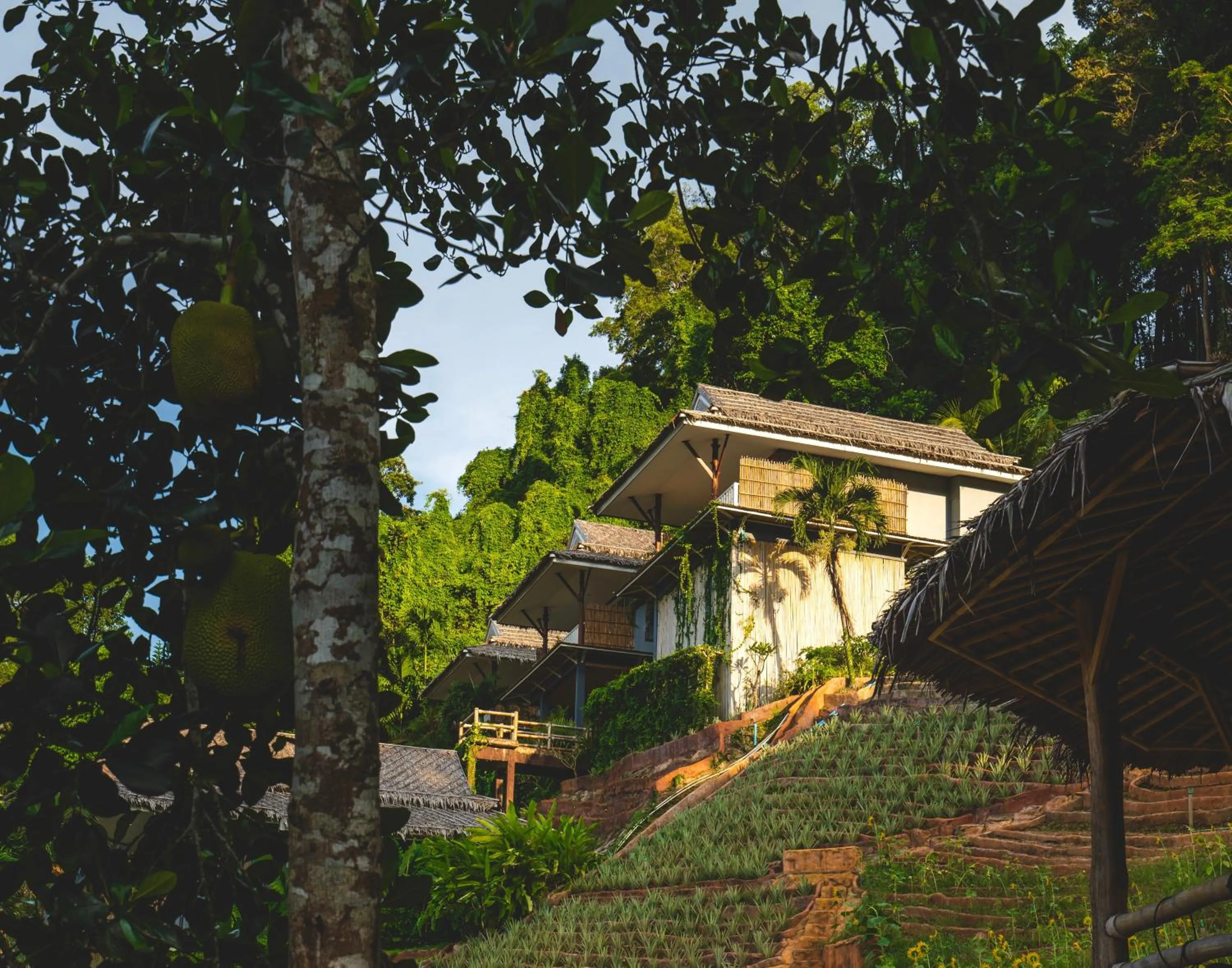 Property building in Baan Phuvara Retreat - Romantic Jacuzzi Mountain View Villas