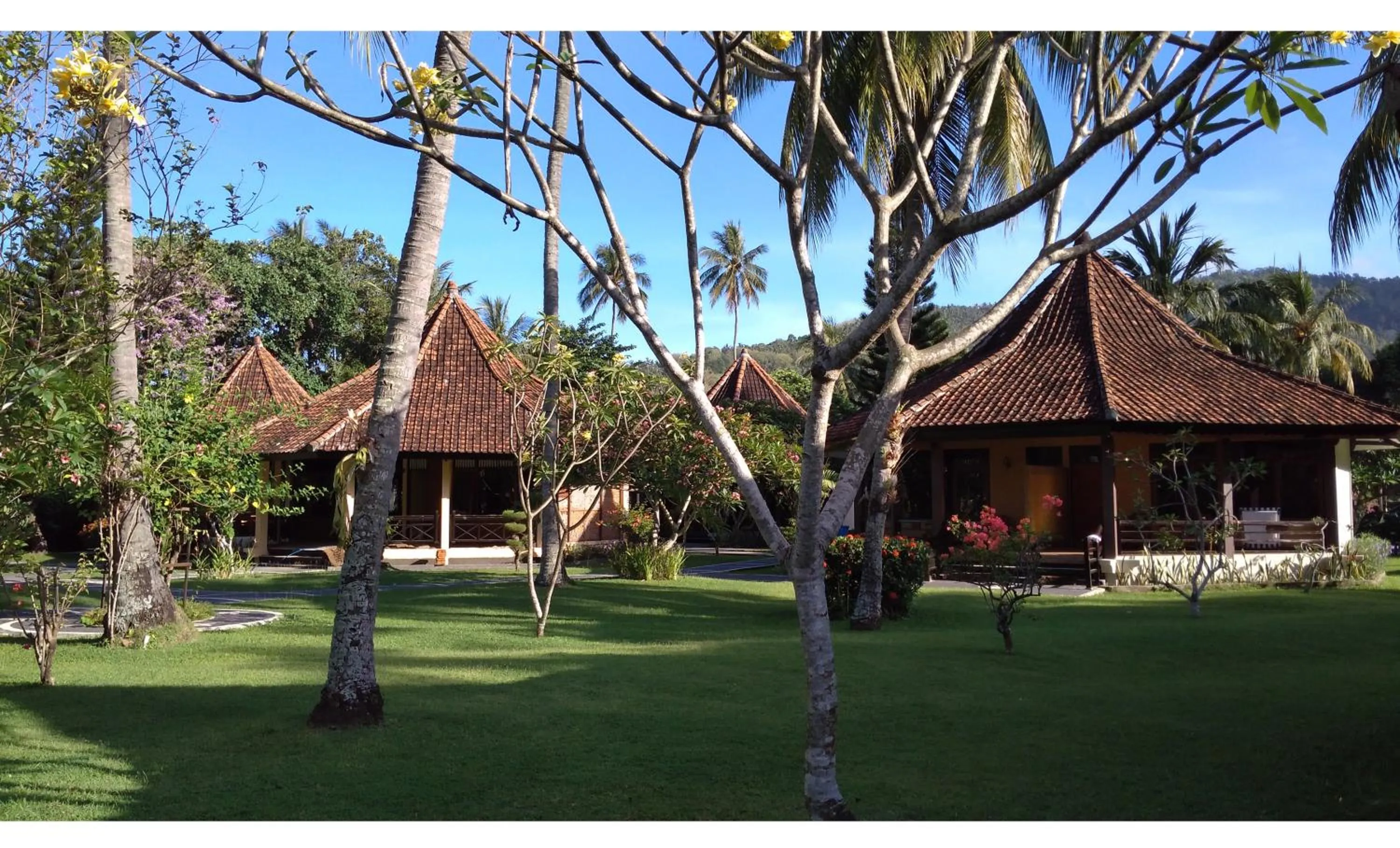 mascot hotel senggigi