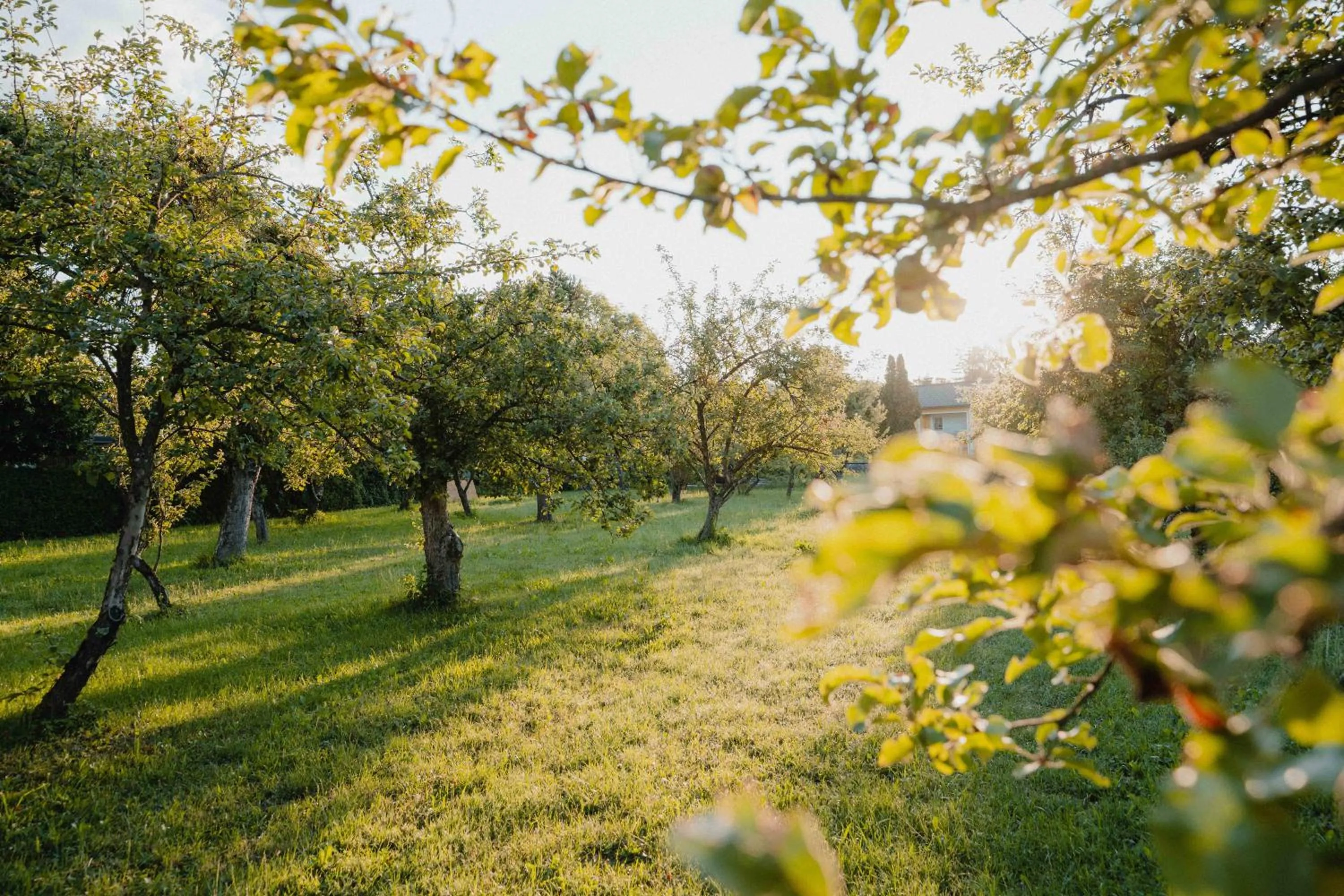 Garden view in Garten-Hotel Ochensberger