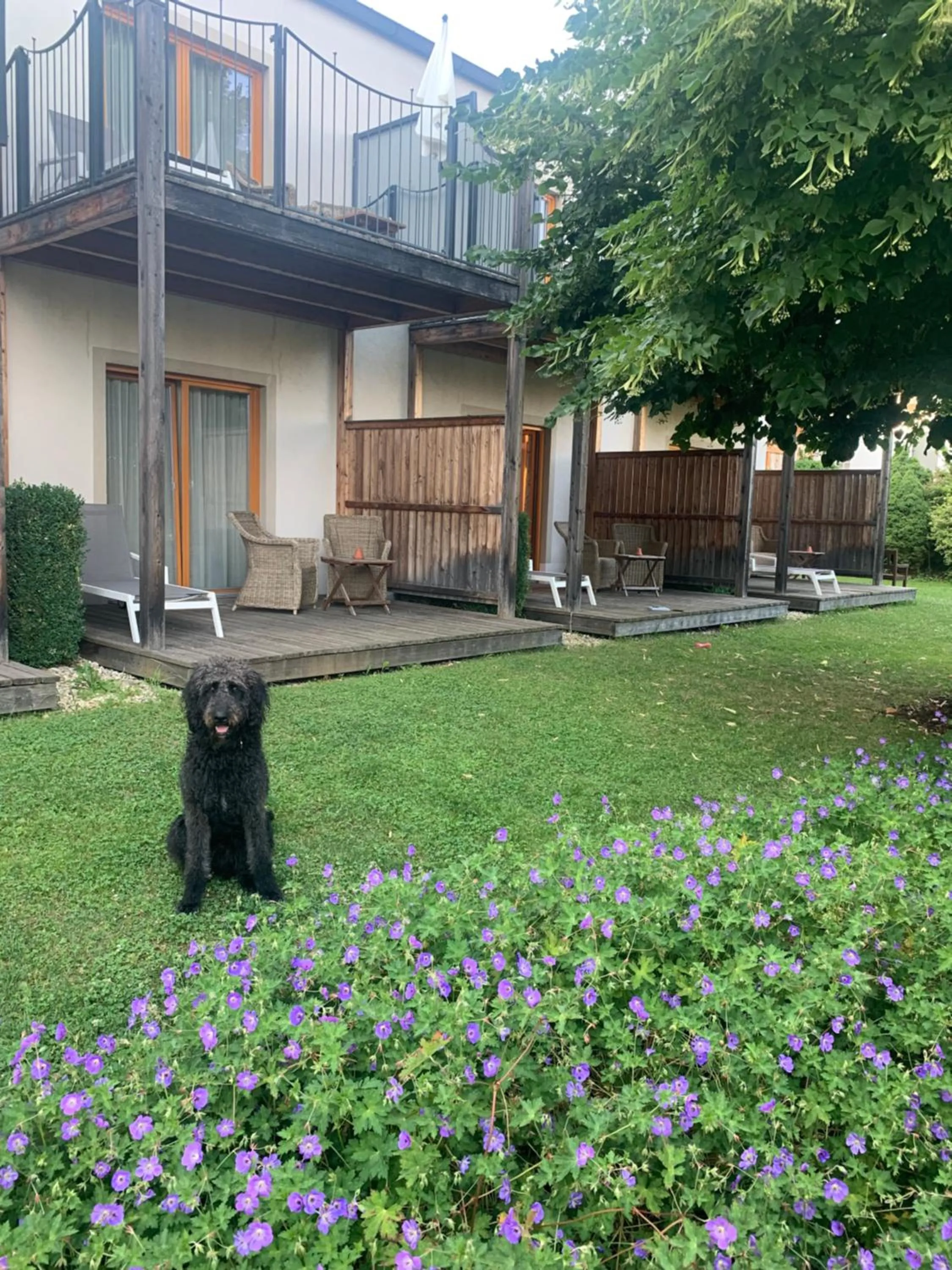 Pets in Garten-Hotel Ochensberger