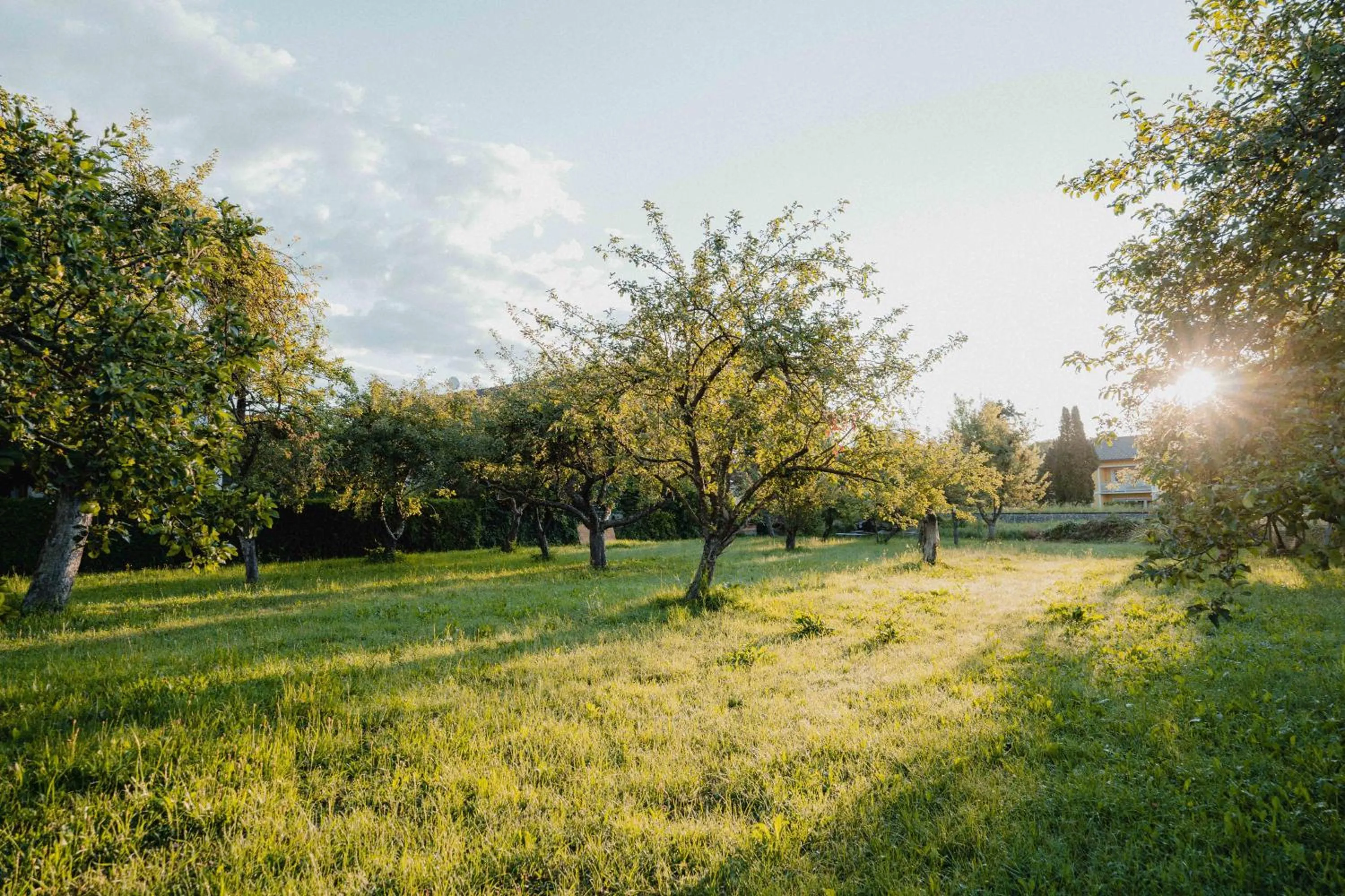 Garden view in Garten-Hotel Ochensberger