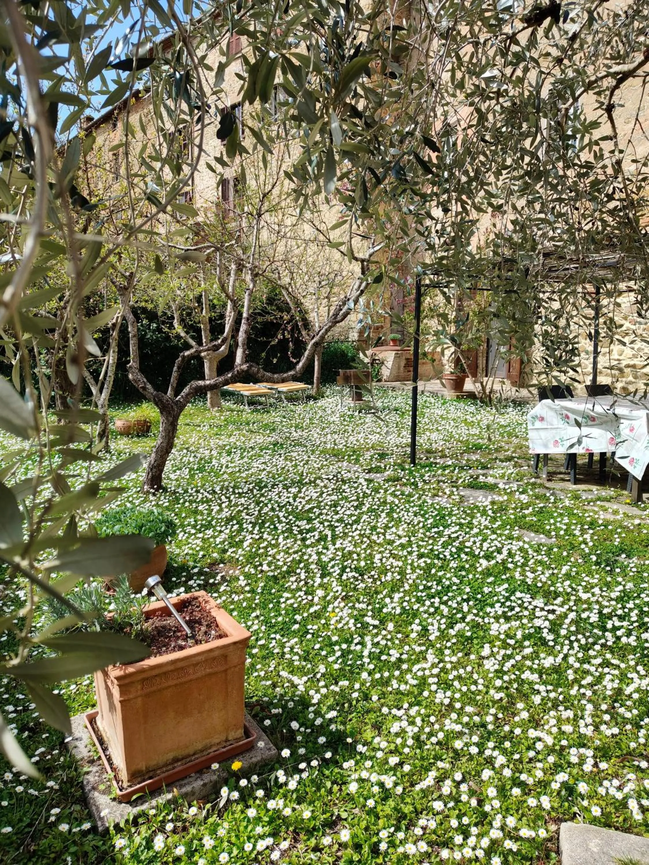 "Il Pollaio" guests house