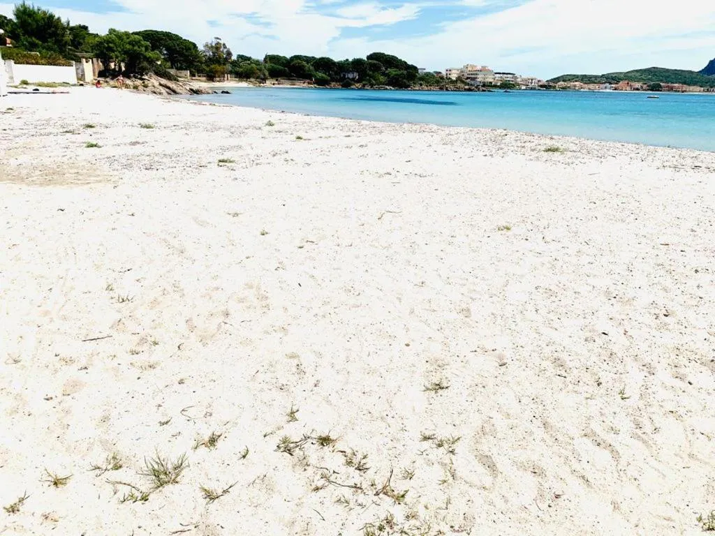 Nearby landmark in Residenze Il Girasole