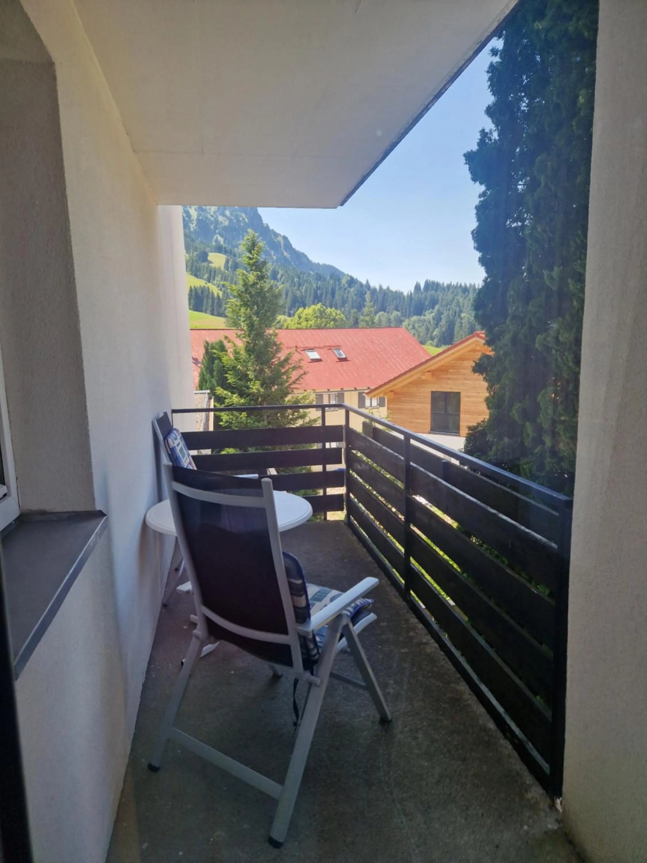 Balcony/Terrace in HOTEL WALDHORN