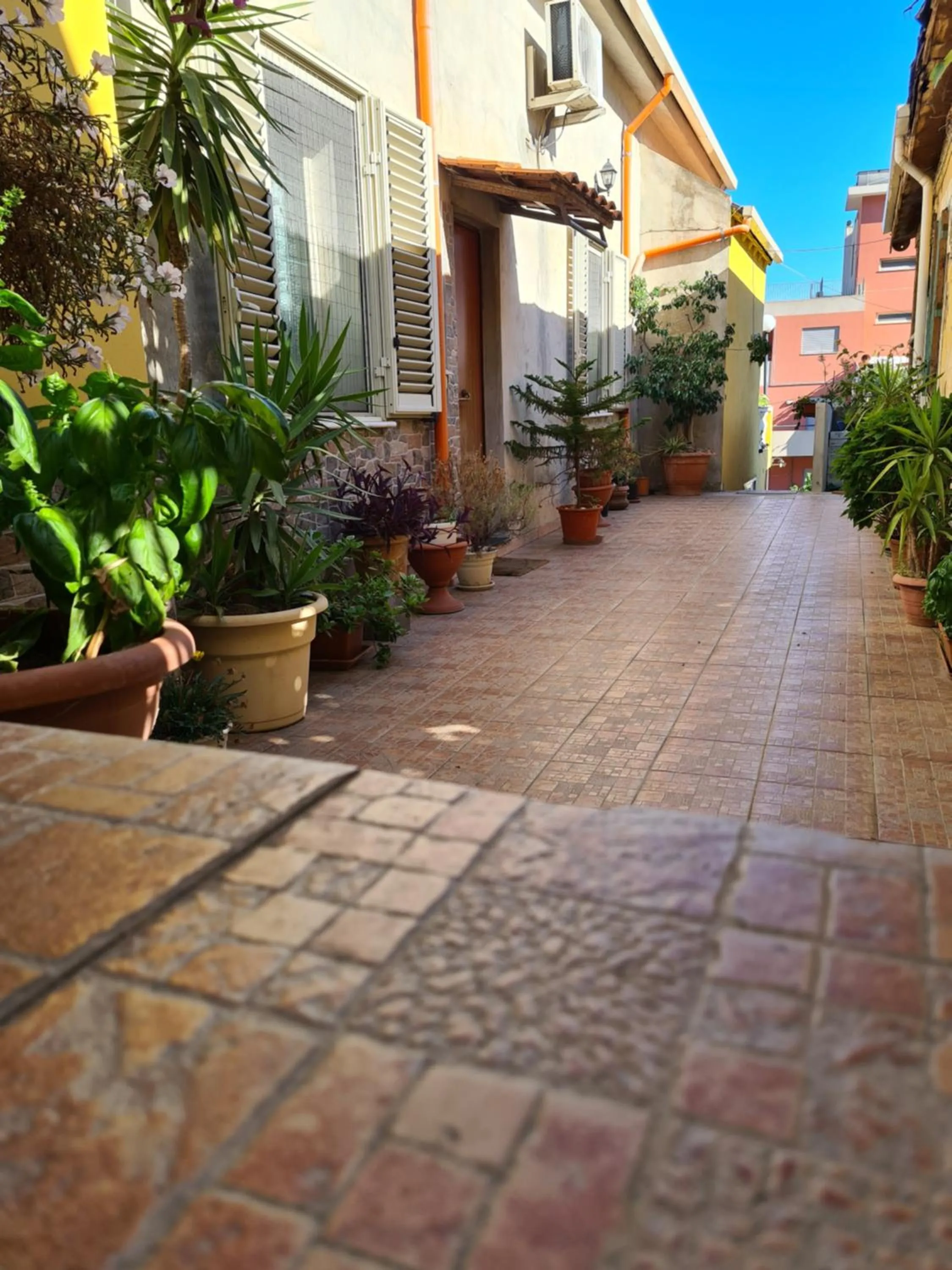 Property building in Domus Lace