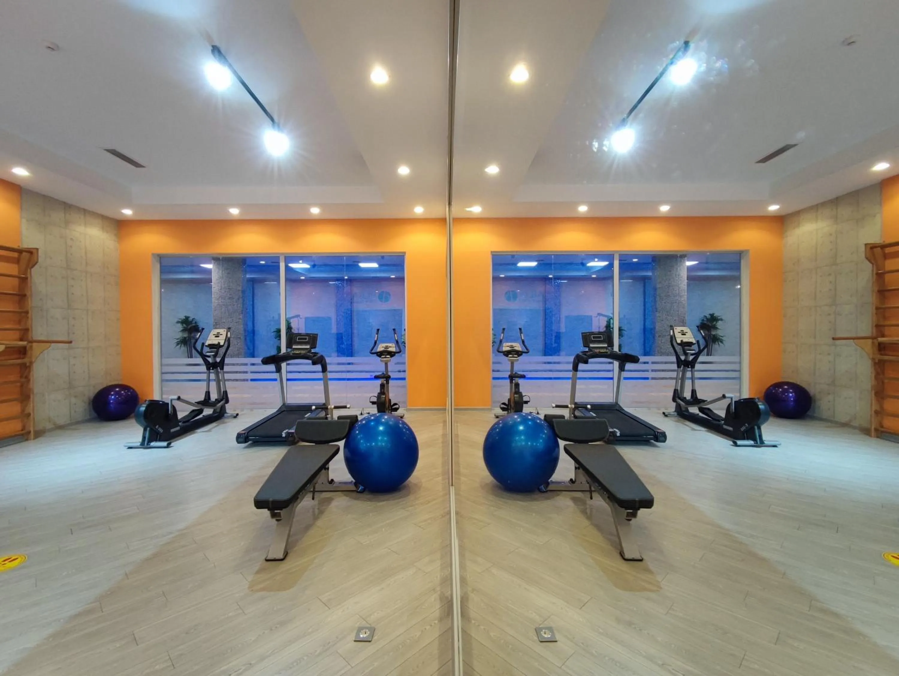 Fitness centre/facilities in ALBA HOTEL & SPA