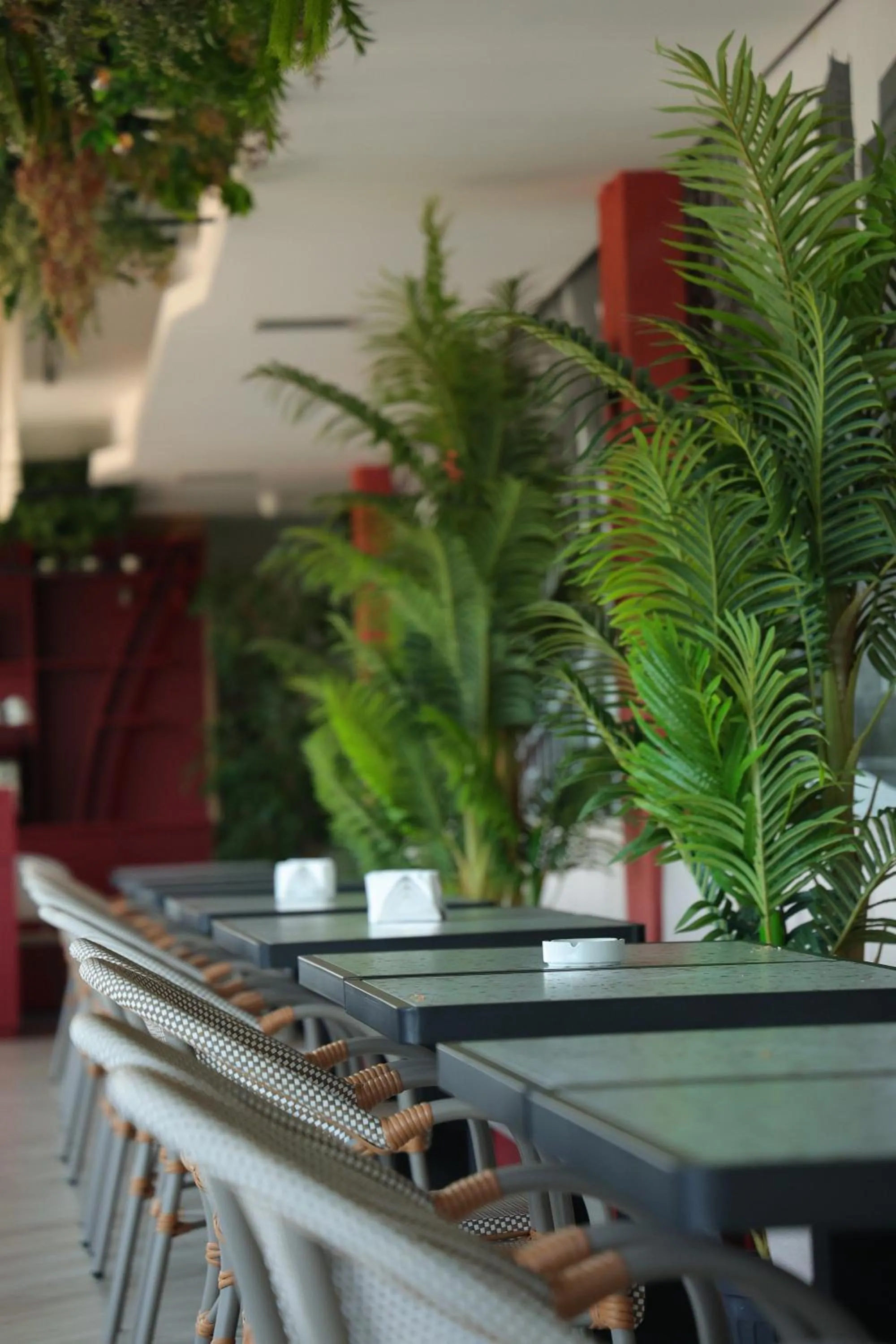 Riviera Hotel and Beach Lounge, Beirut