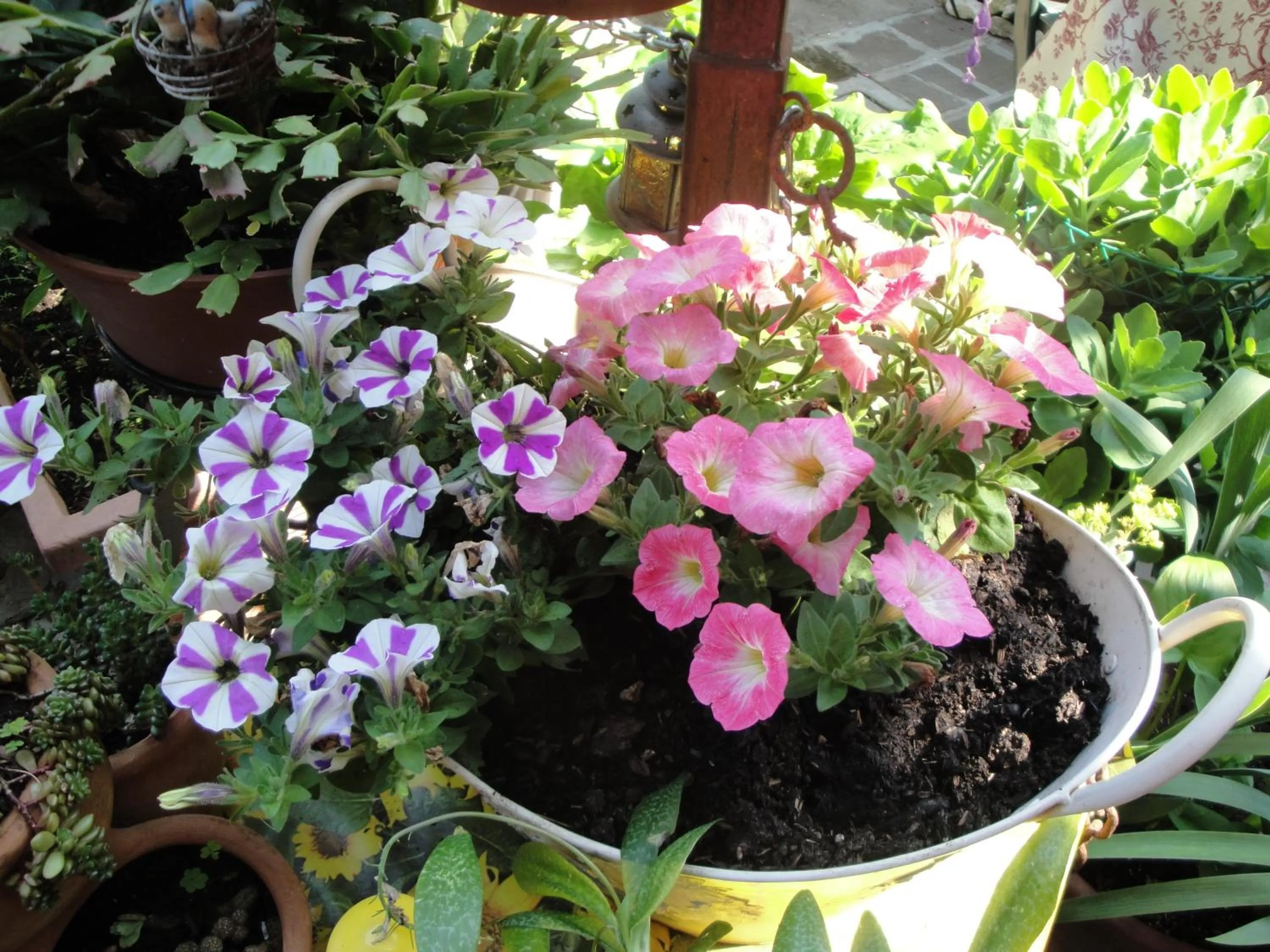 Garden in The Queen Tower