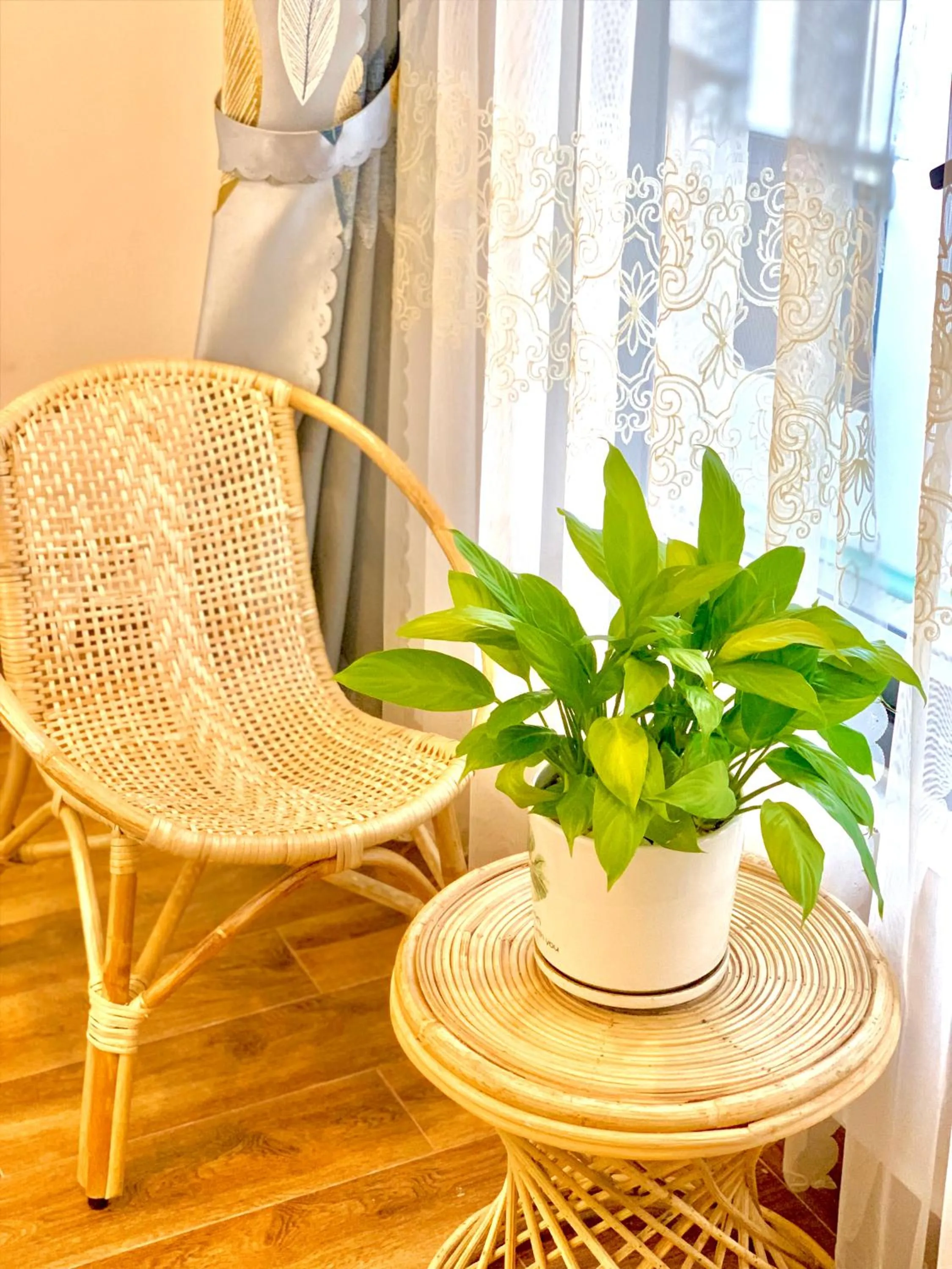Seating area in Family Homestay Dalat Casa