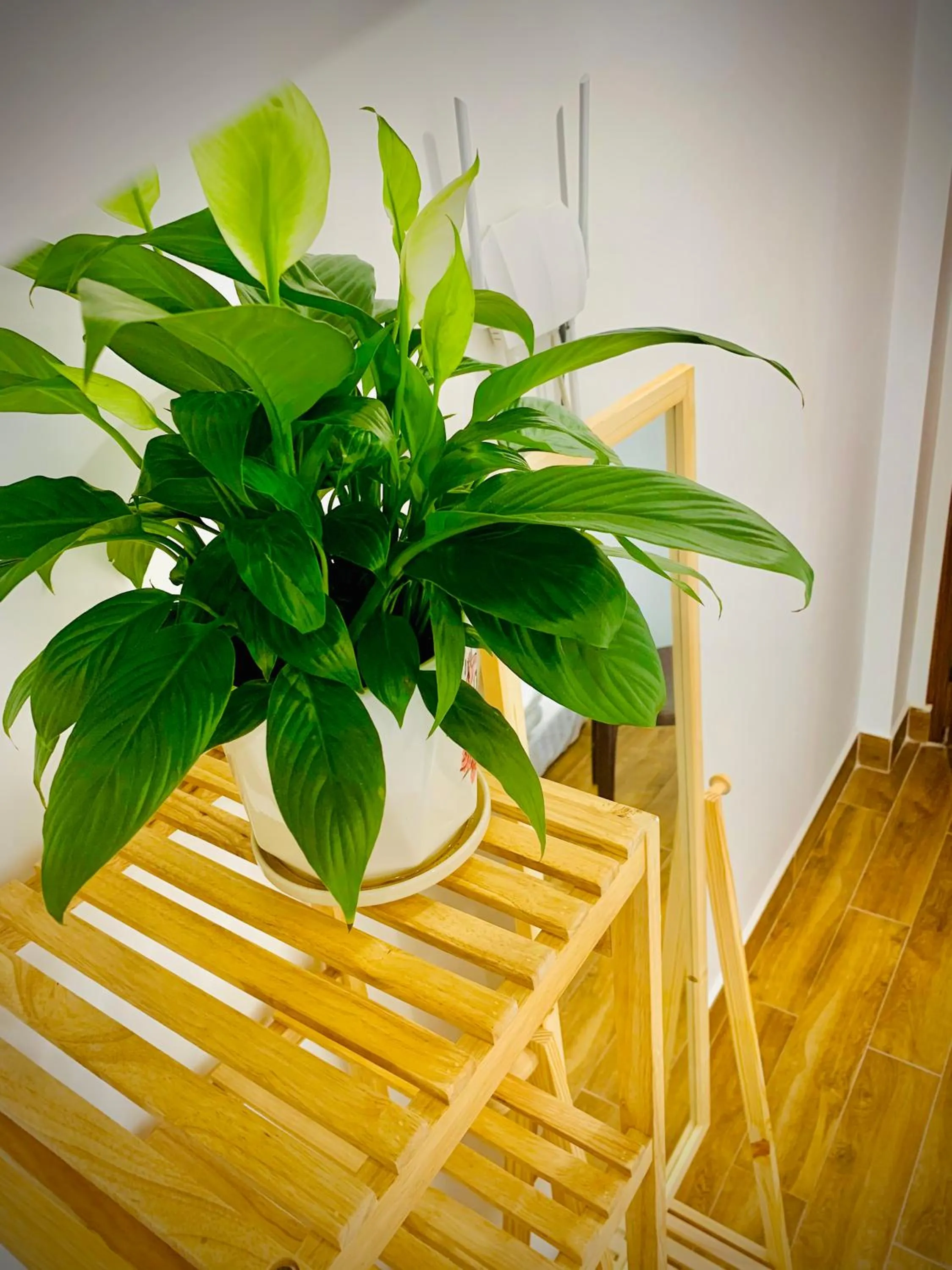 Decorative detail in Family Homestay Dalat Casa