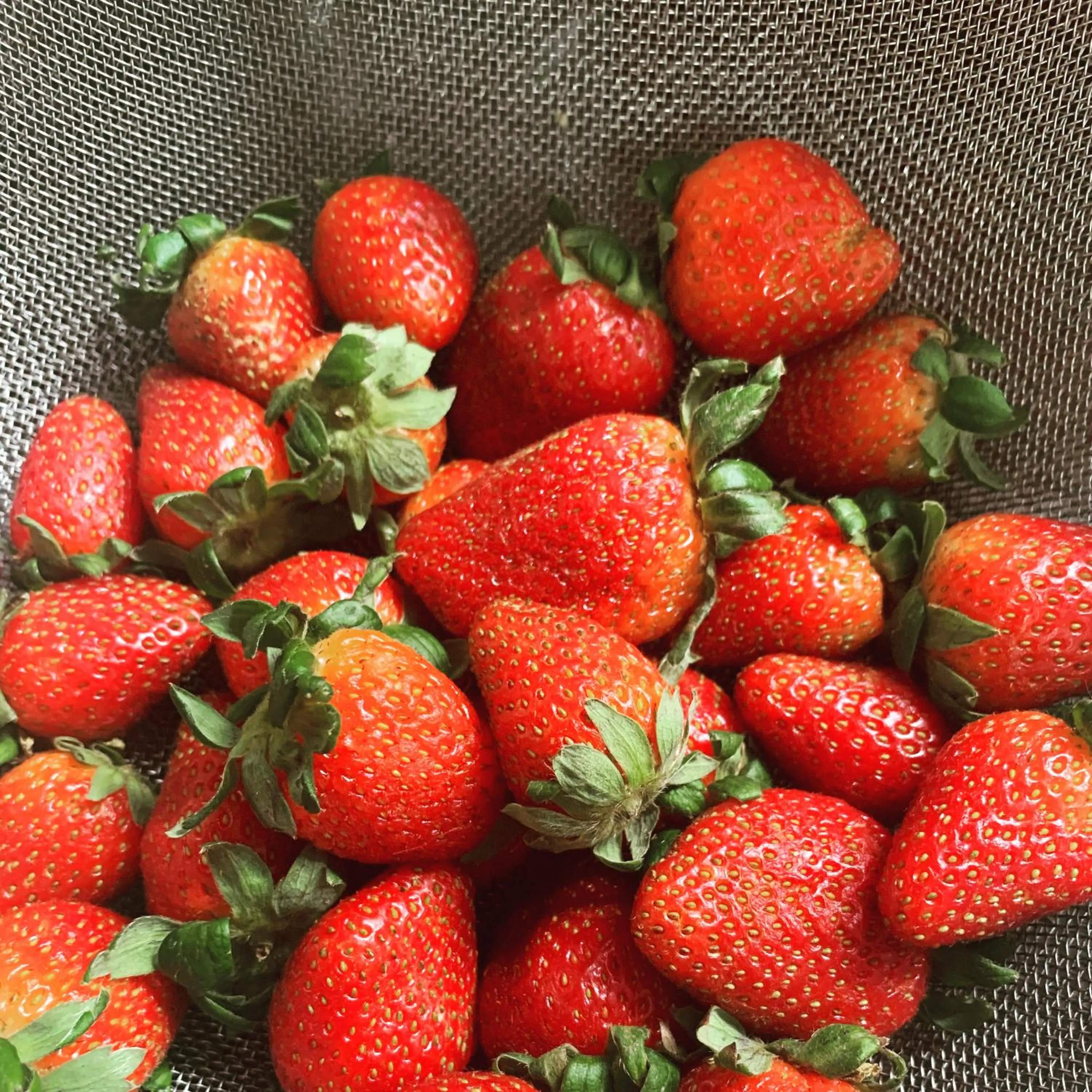 Food and drinks in Family Homestay Dalat Casa