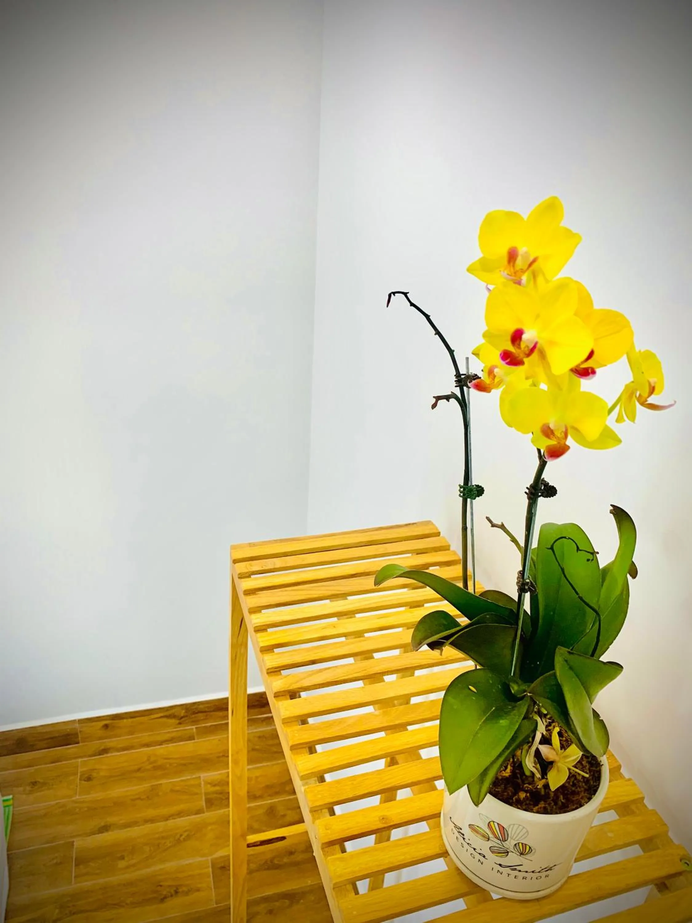 Decorative detail in Family Homestay Dalat Casa