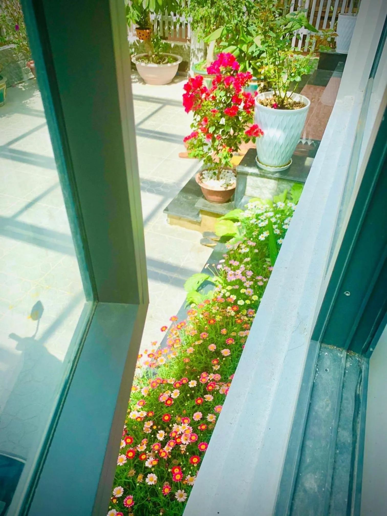 Patio in Family Homestay Dalat Casa