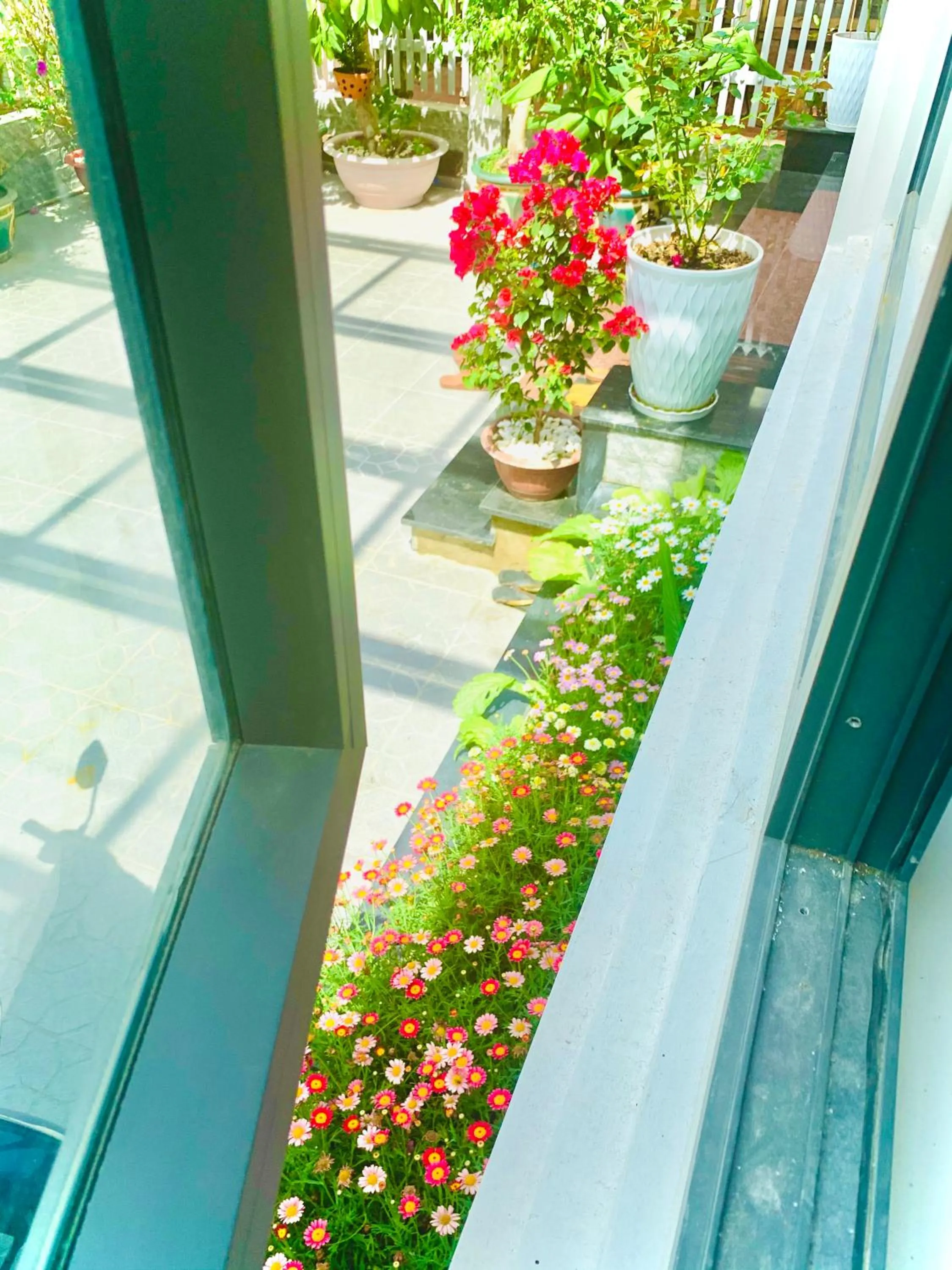 Day in Family Homestay Dalat Casa