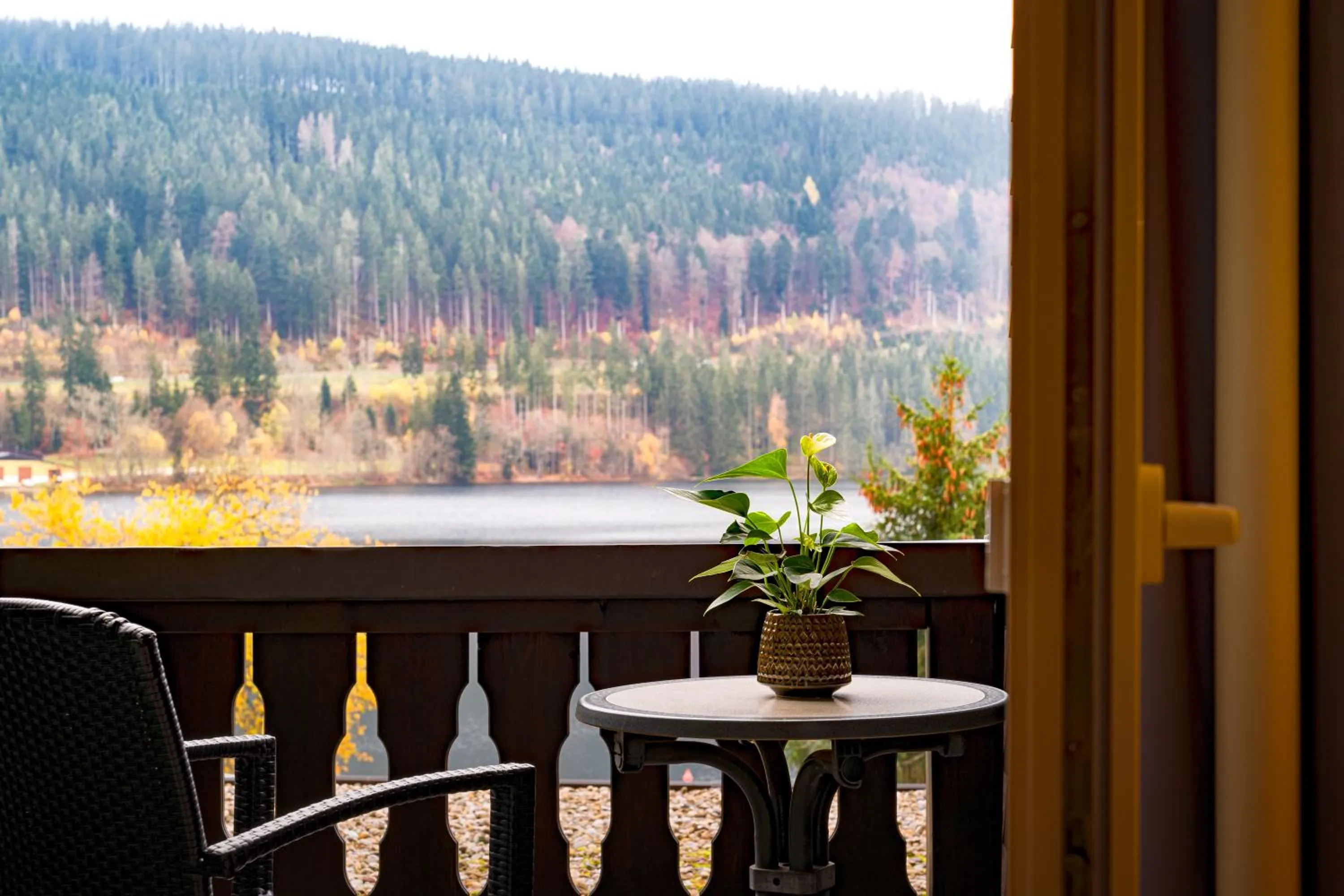 Treschers Schwarzwald Hotel