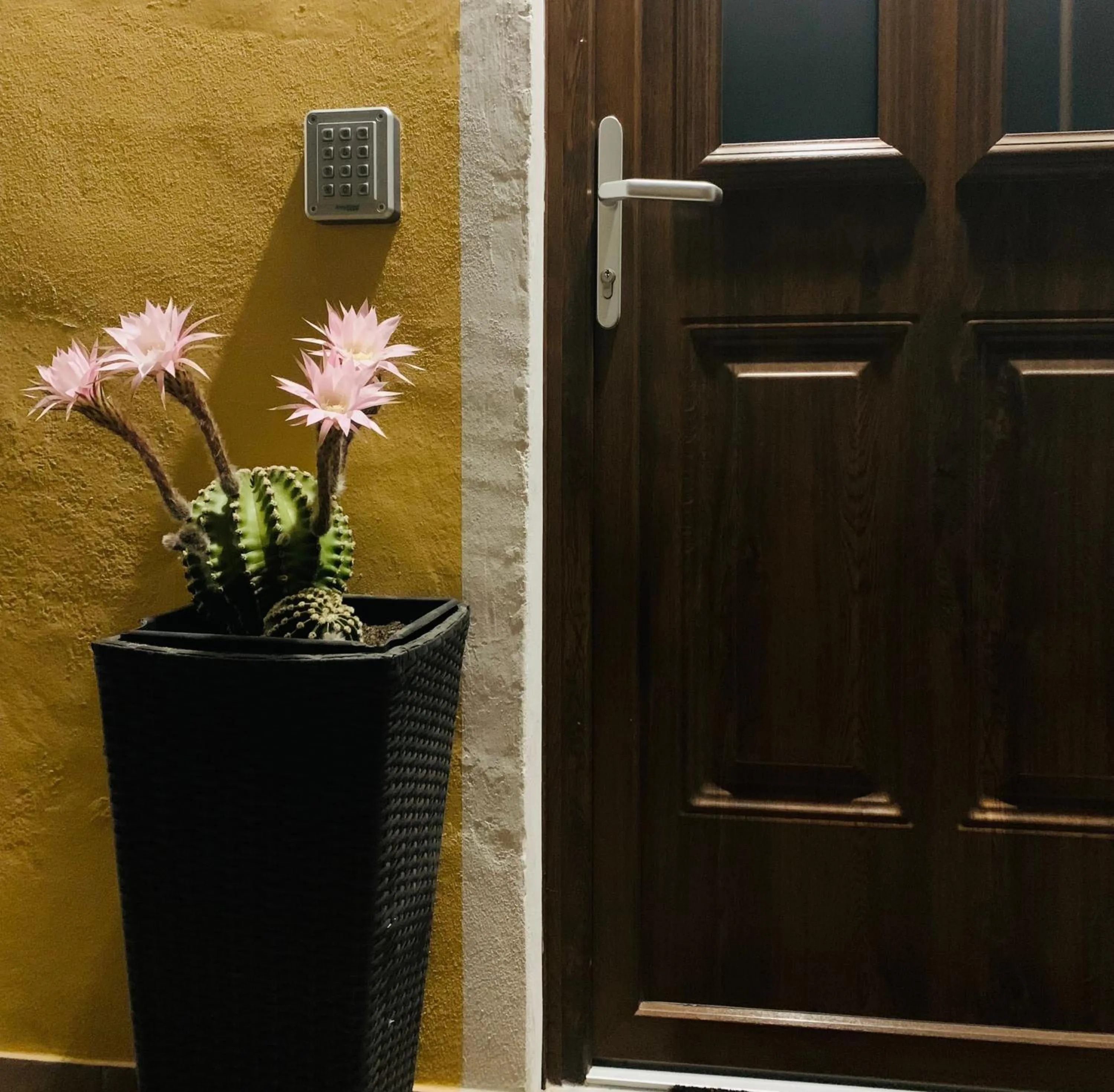 Summer in BB Borgo Biella