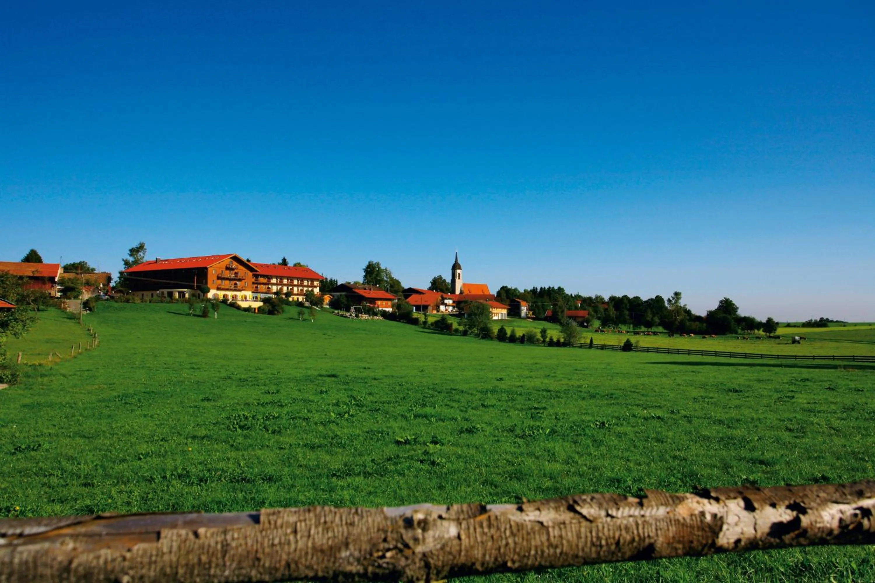 Day in Hotel und Landgasthof Altwirt