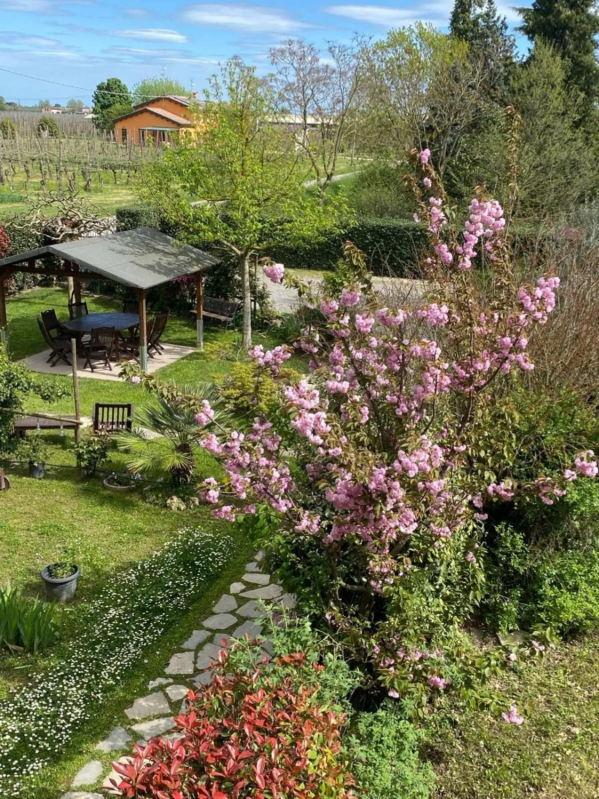 Natural landscape in La Casa di Biba