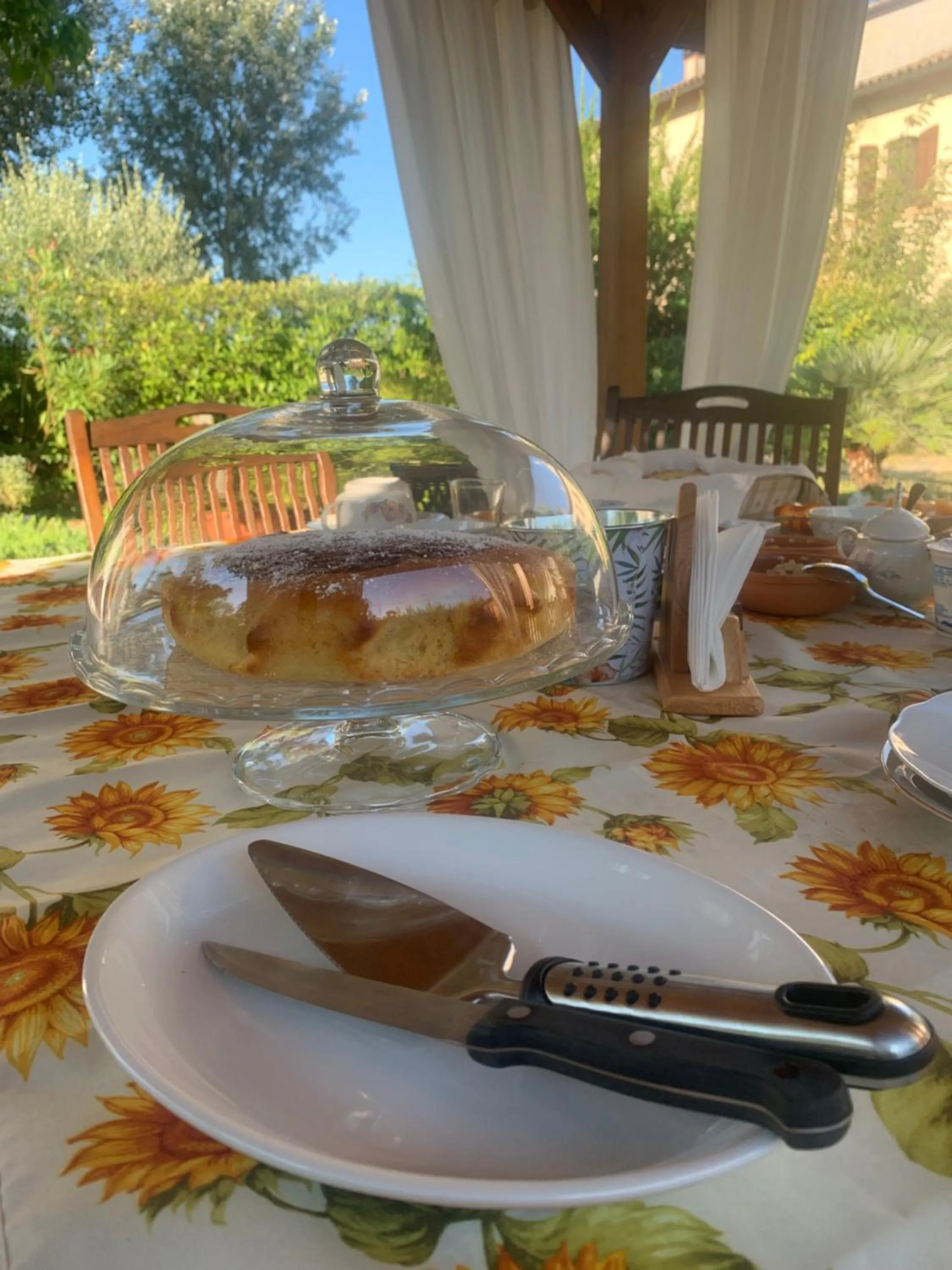 Garden in La Casa di Biba