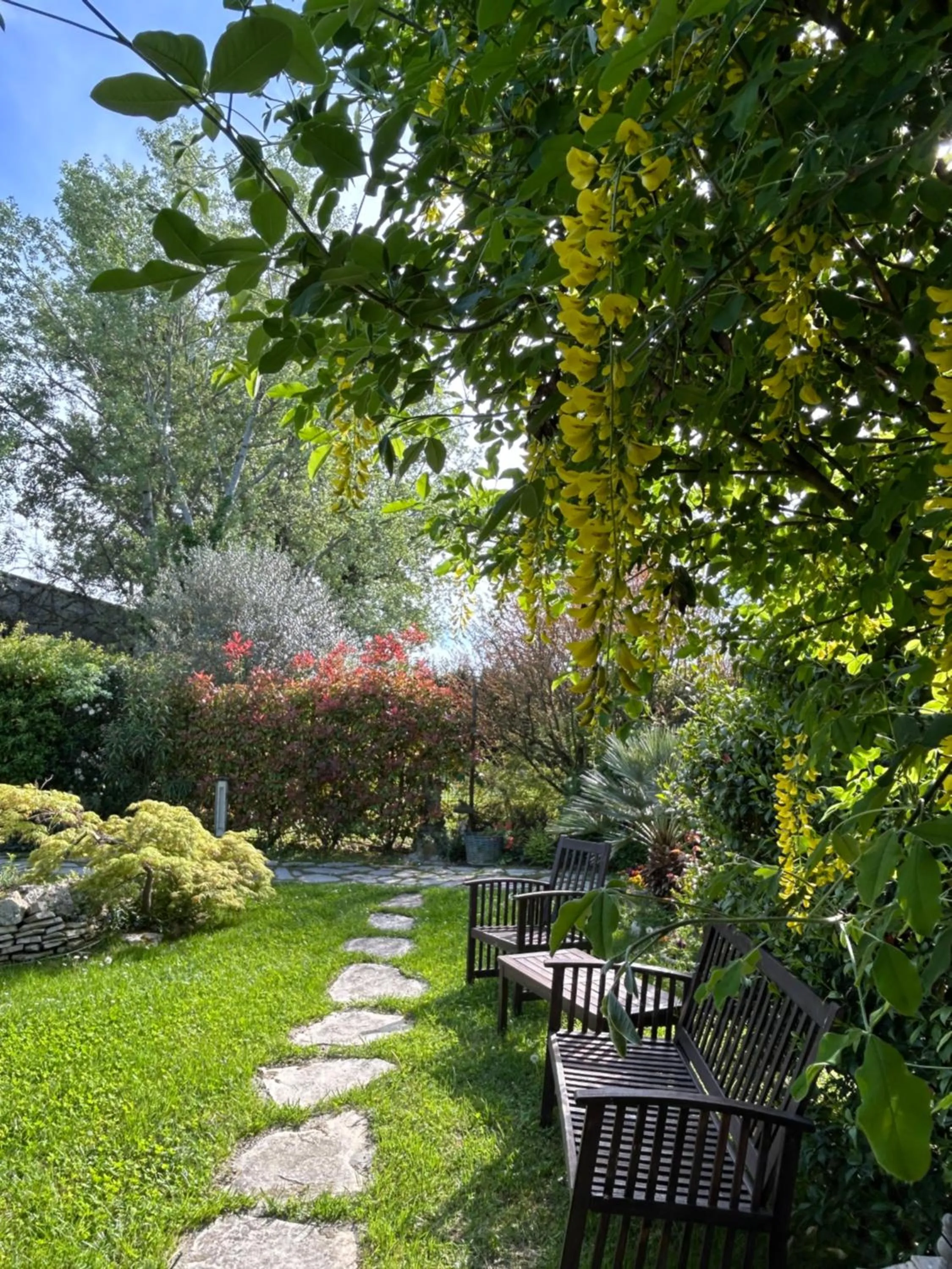 Natural landscape in La Casa di Biba