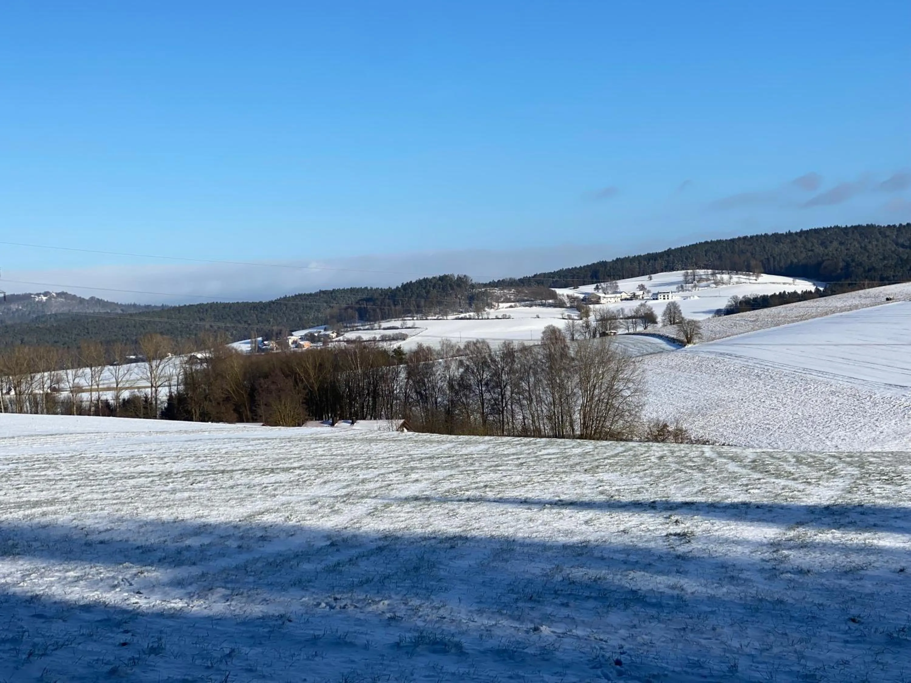 View (from property/room) in Apartmentanlage am Kellerberg