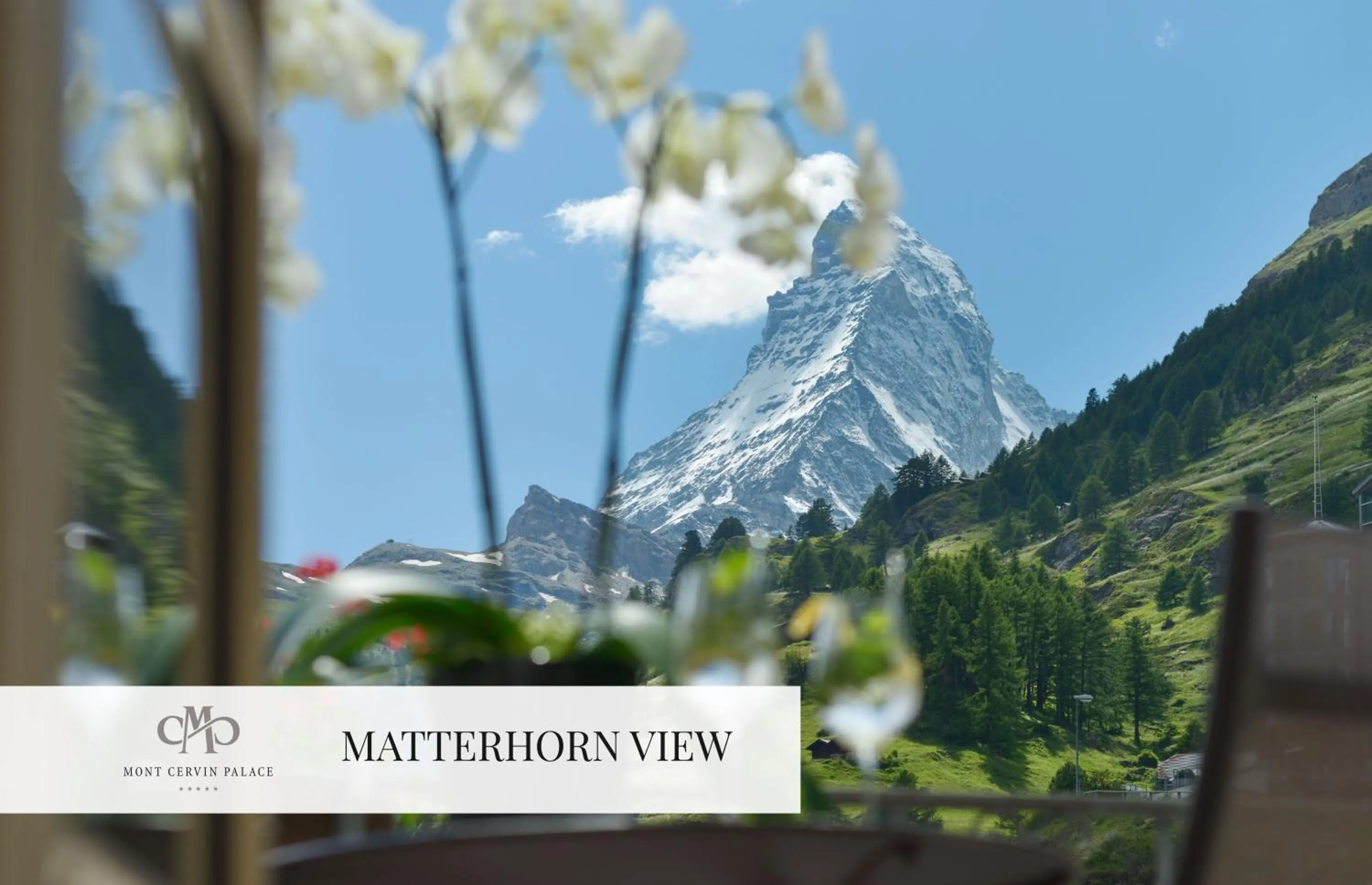 Balcony/Terrace in Mont Cervin Palace