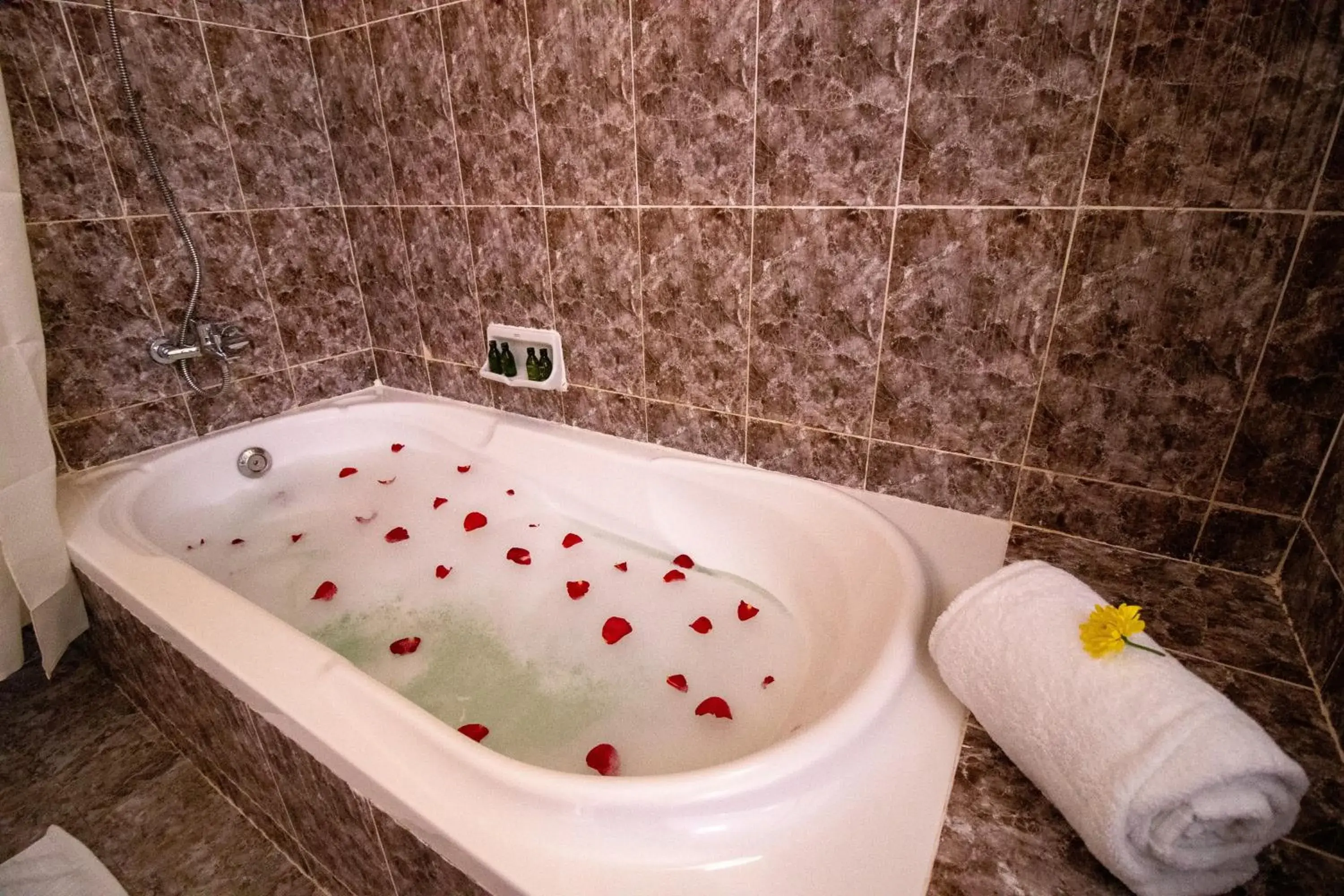 One Bedroom Royal Villa with Private Pool in Sunny Palms Beach Bungalows One Bedroom Royal Villa with Private Pool in Sunny Palms Beach Bungalows