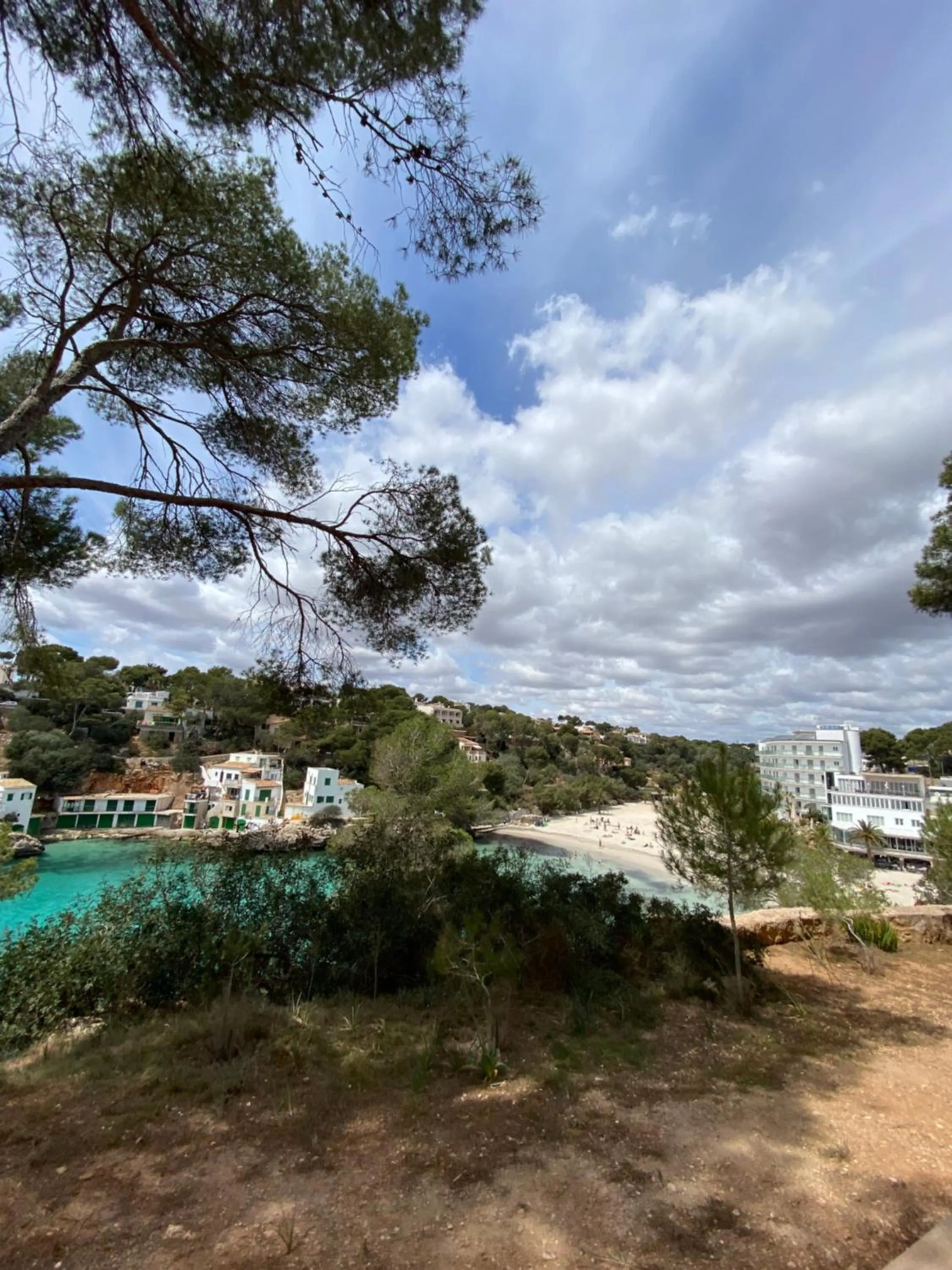 Natural landscape in Hostal Palmaria