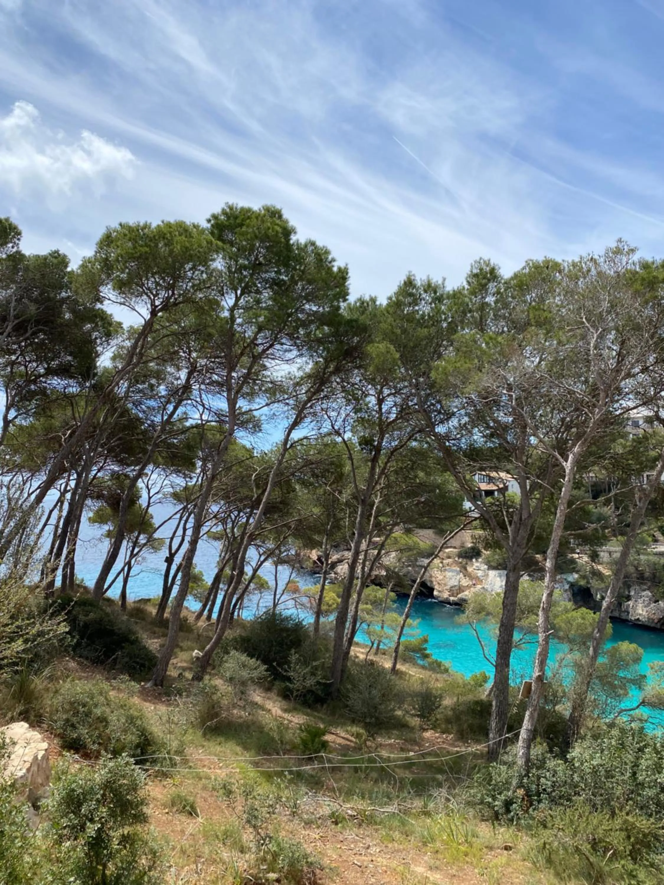 Natural landscape in Hostal Palmaria