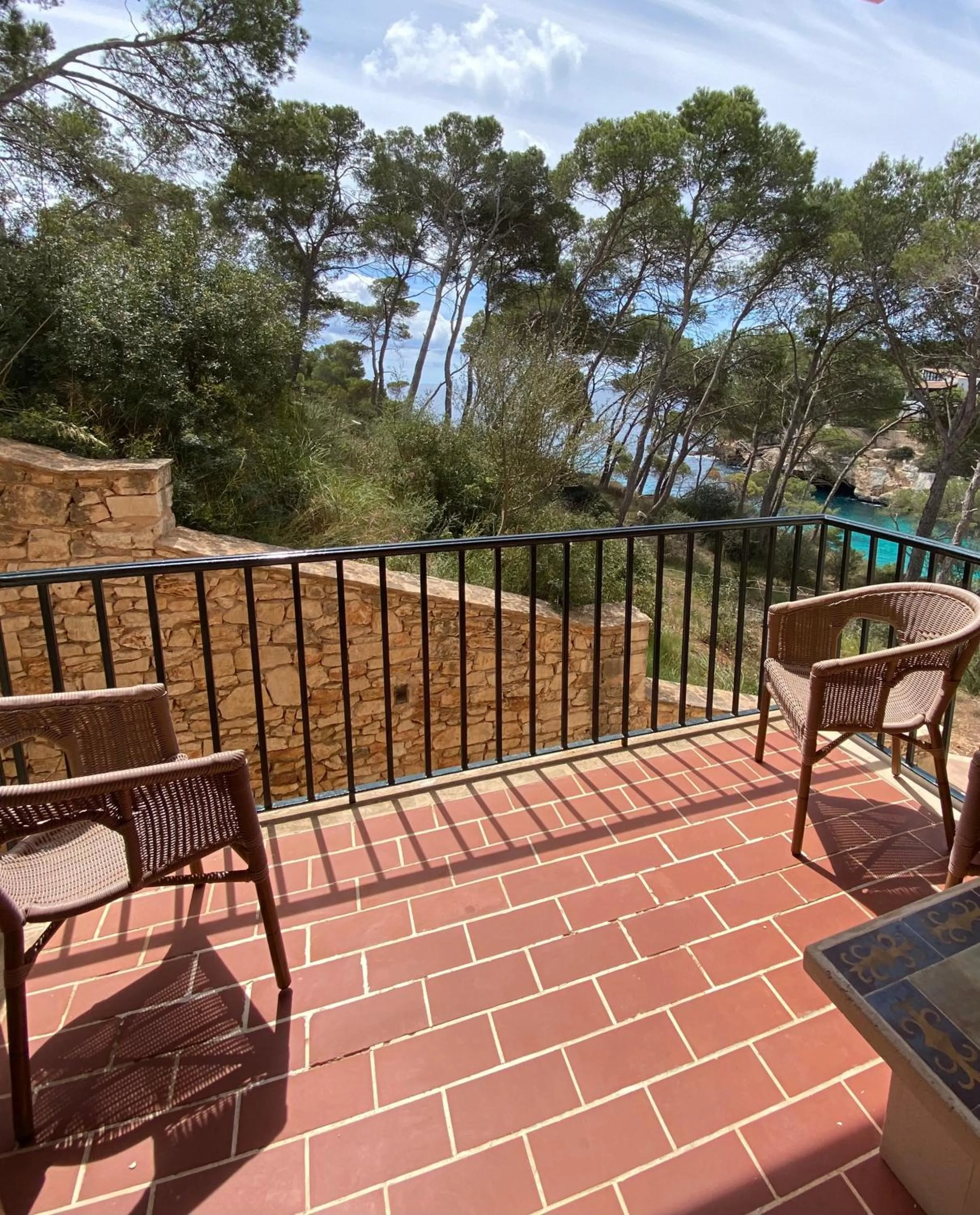 Natural landscape in Hostal Palmaria