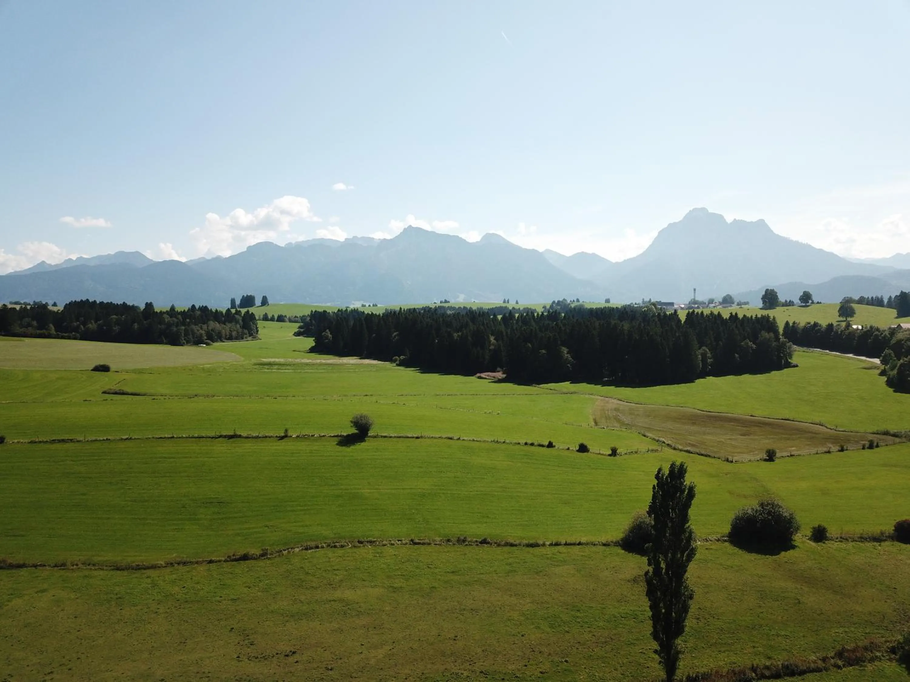 View (from property/room) in Landhaus Kössel
