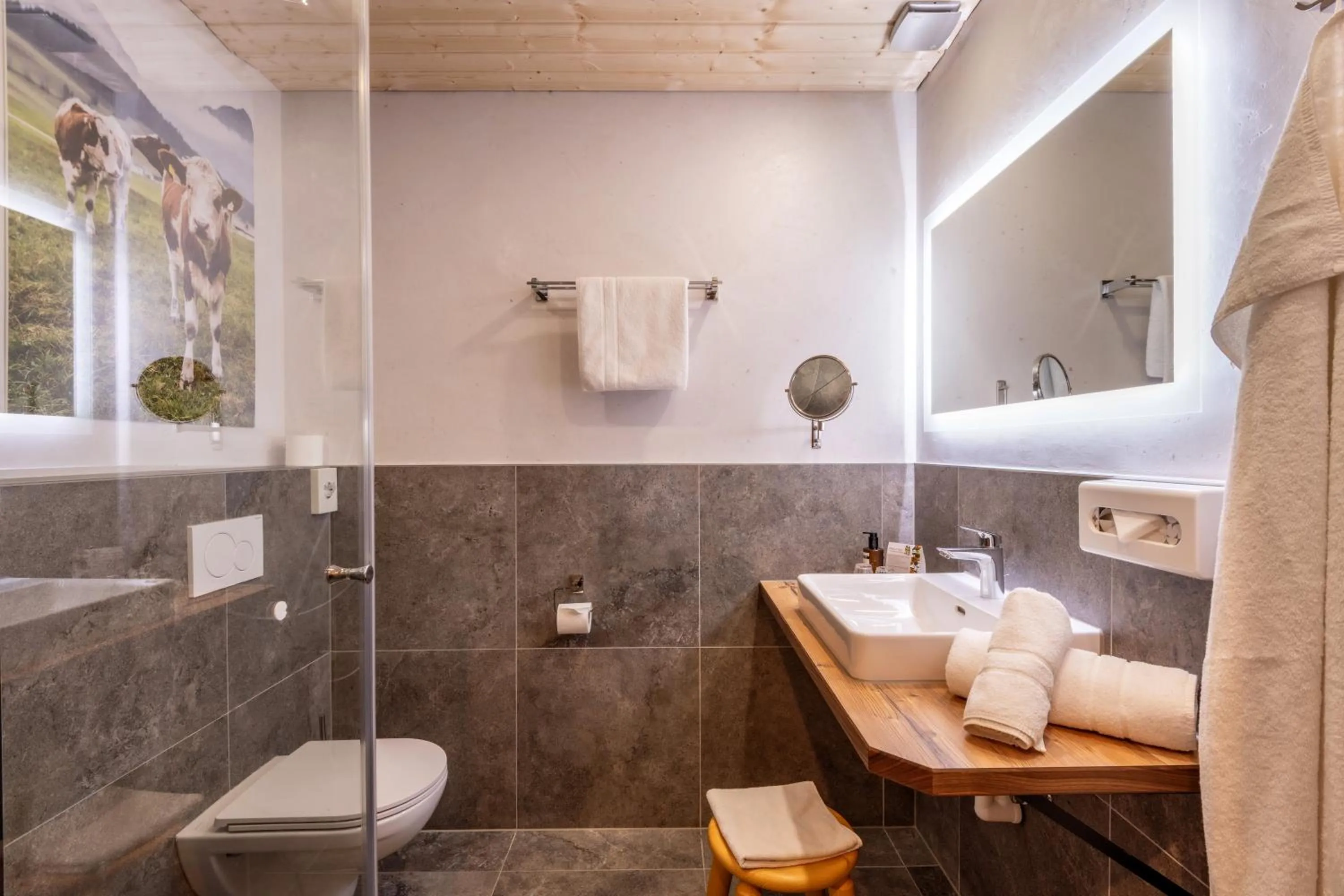 Bathroom in Hotel Frohnatur