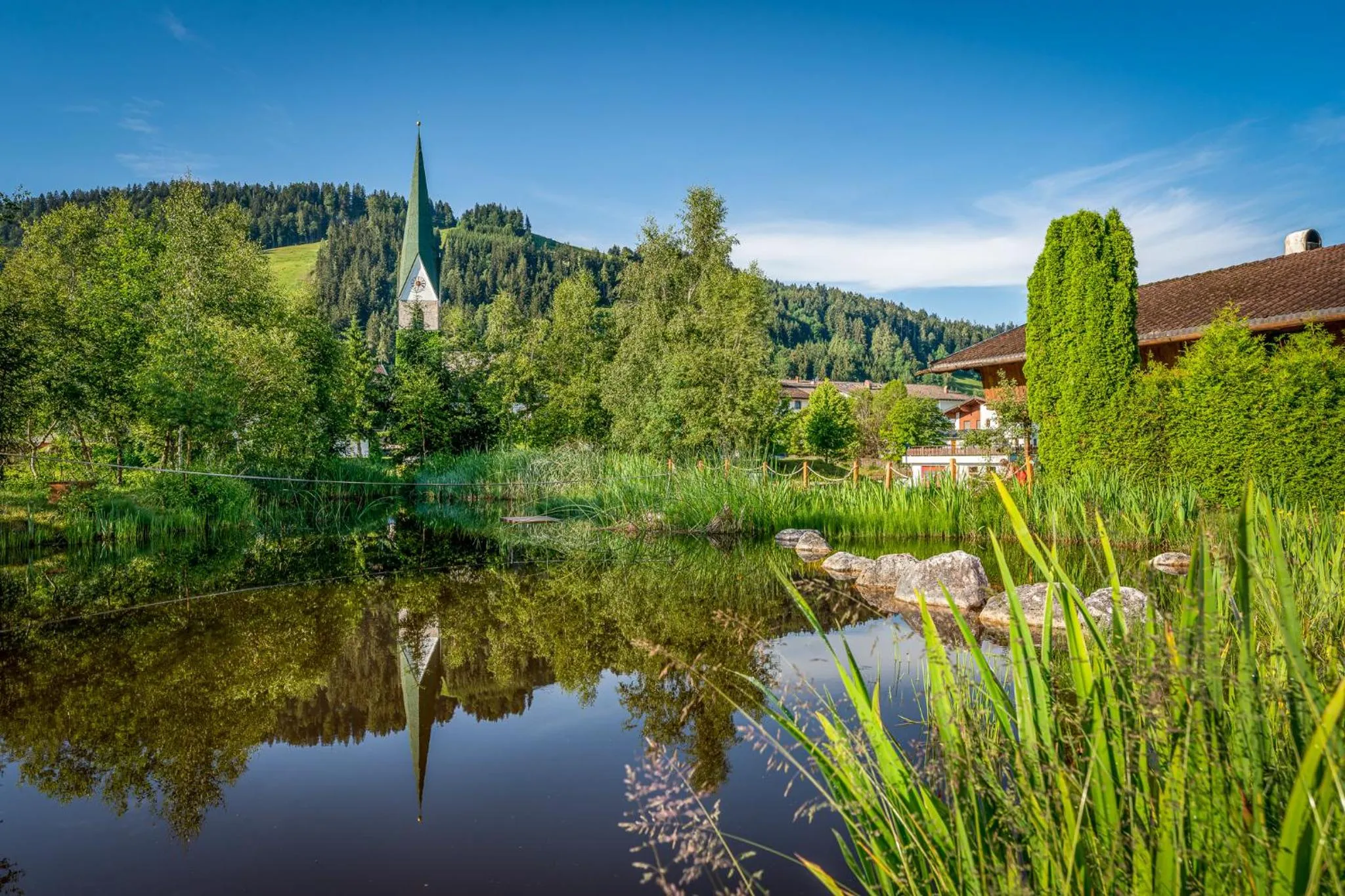 Garden in Hotel Frohnatur