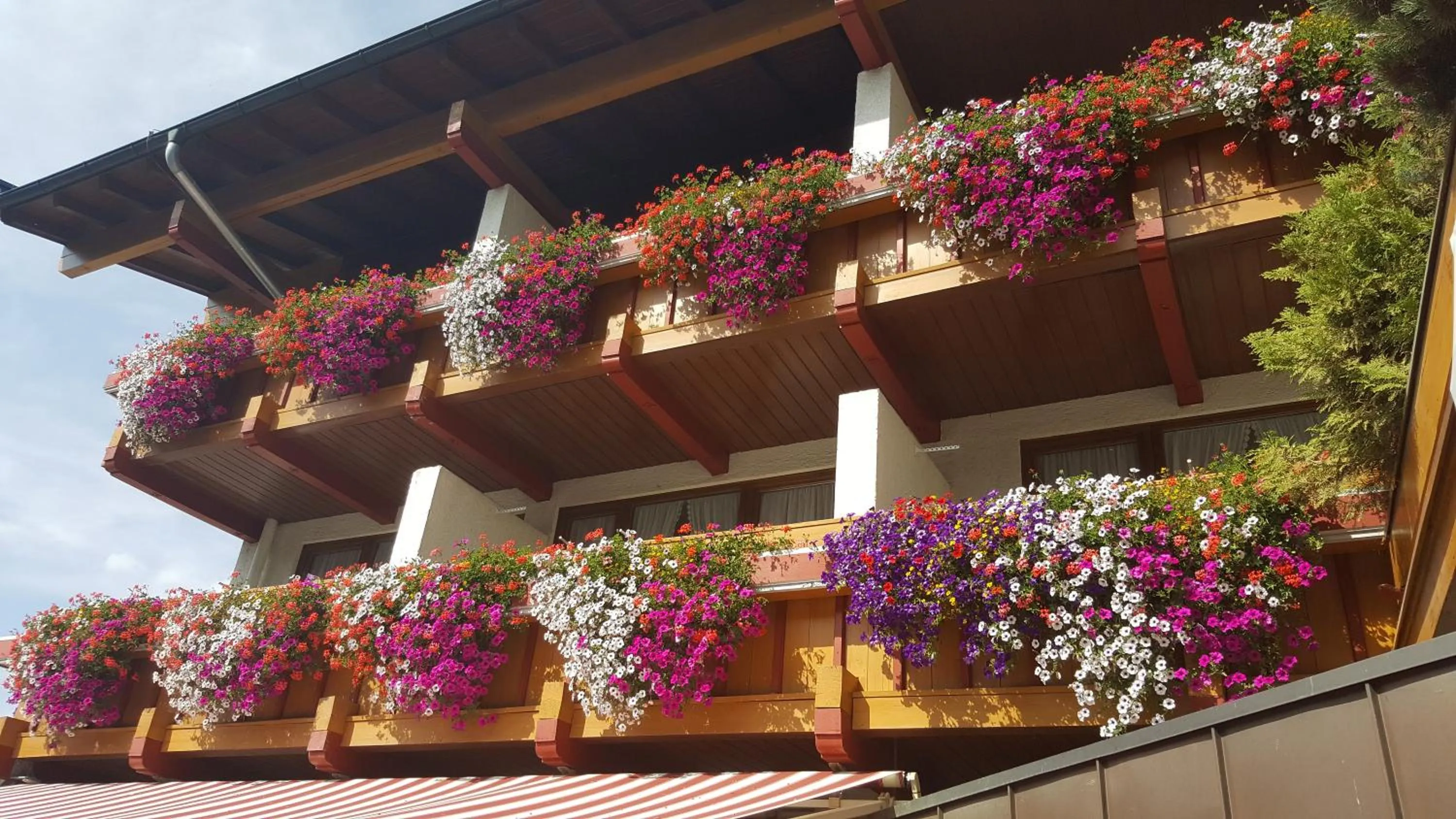 Property building in Hotel Gasthof Mitteregger - BEST PLACE in town with summercard included