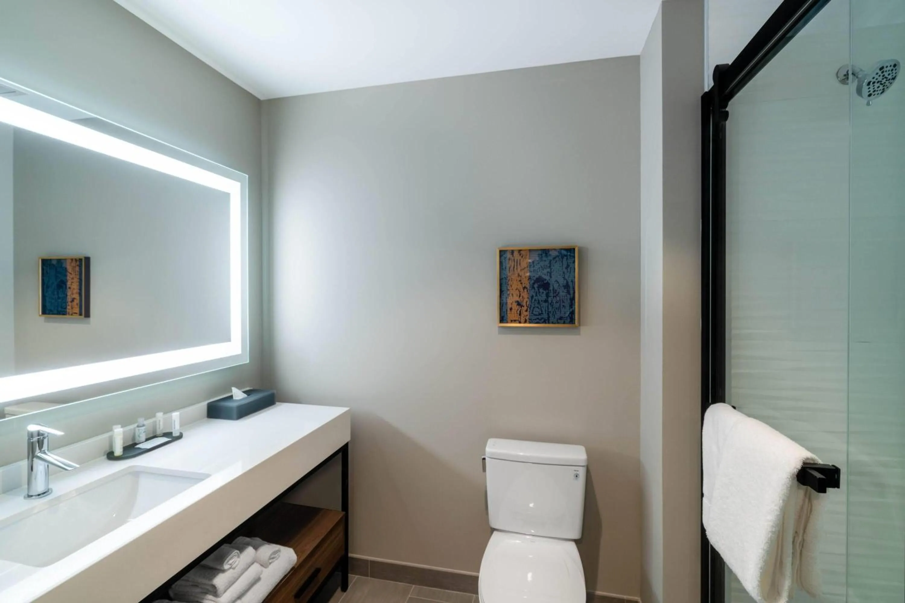 Bathroom in La Quinta Inn & Suites by Wyndham Nashville Downtown Stadium