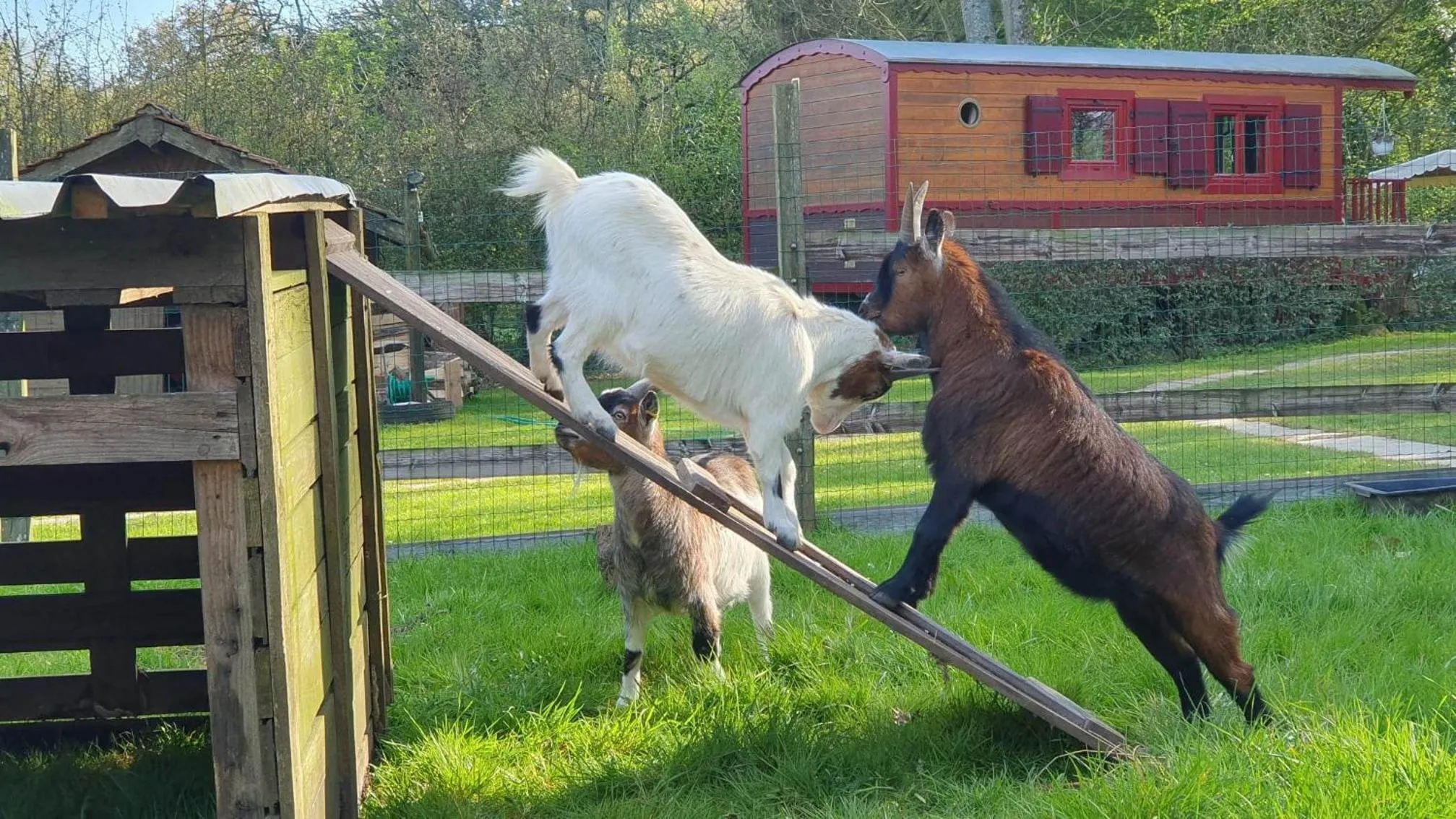 Natural landscape in La Fermette des Ramolleux