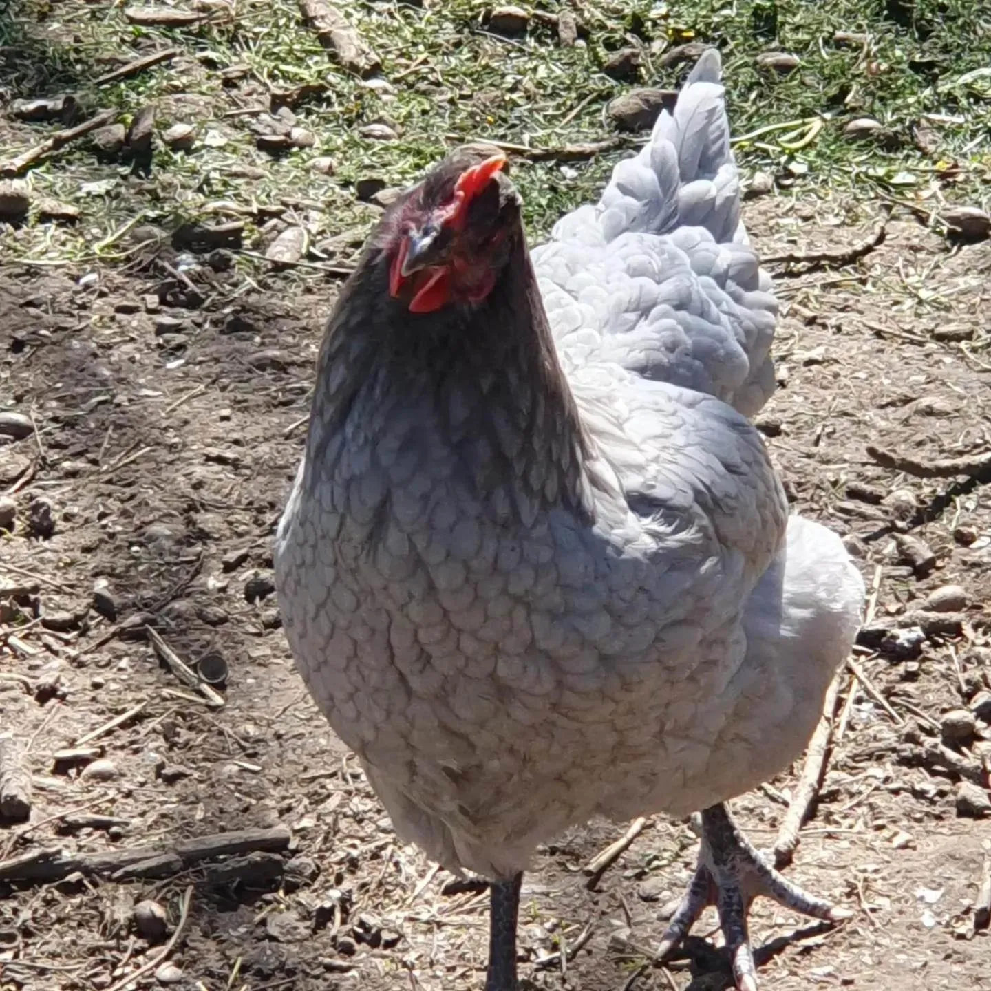 Natural landscape in La Fermette des Ramolleux