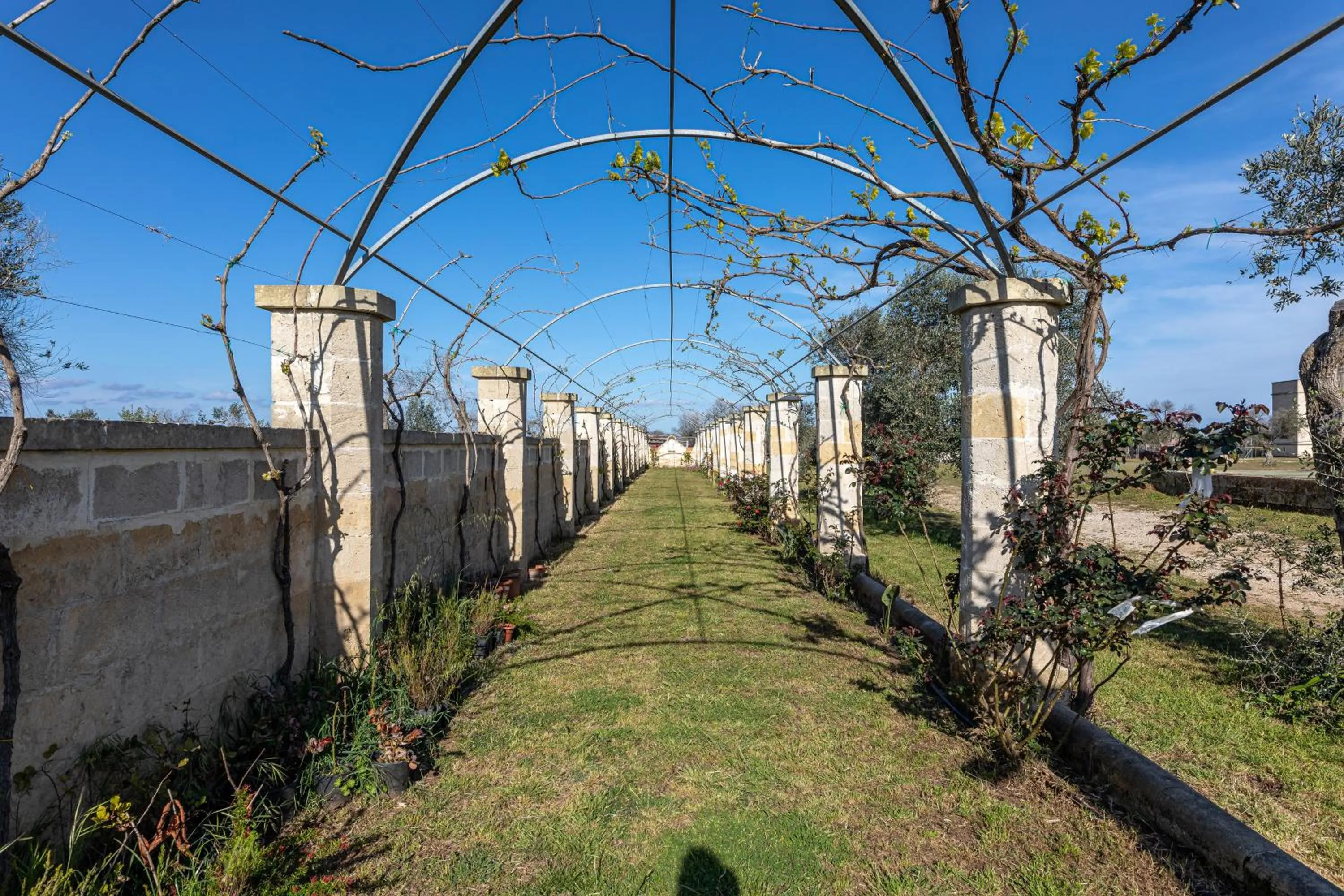 Garden in Relais Borgo Segine