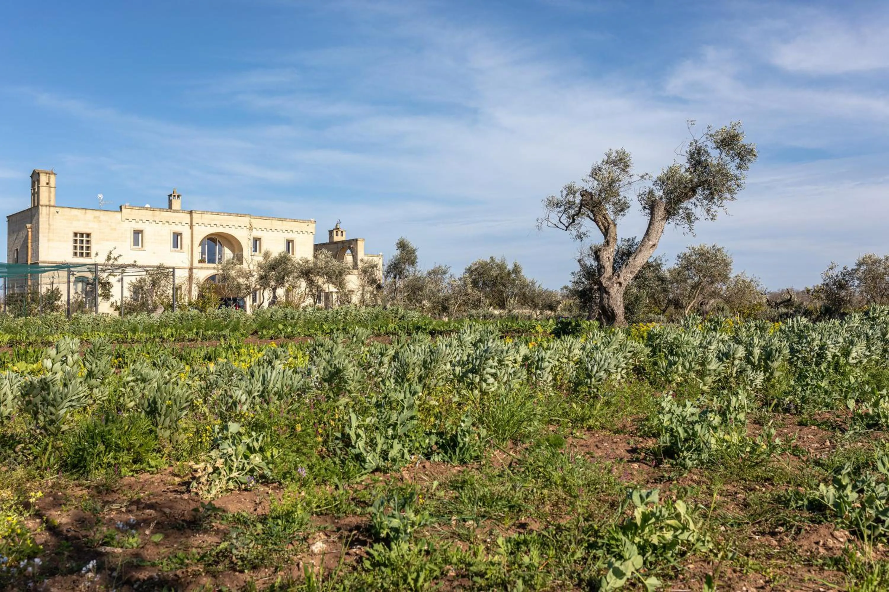 Property building in Relais Borgo Segine